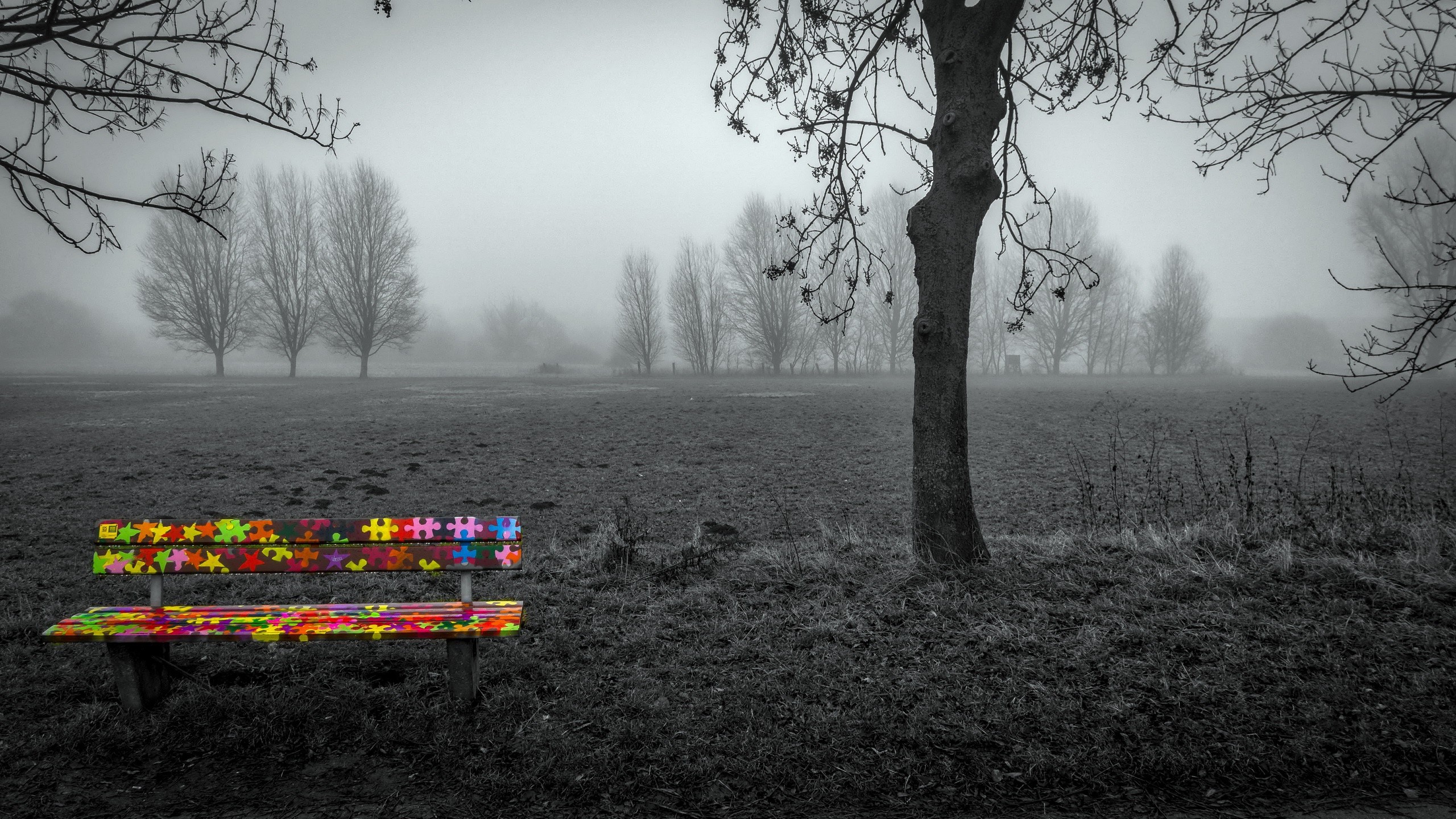 Free download wallpaper Landscape, Tree, Fog, Bench, Man Made on your PC desktop