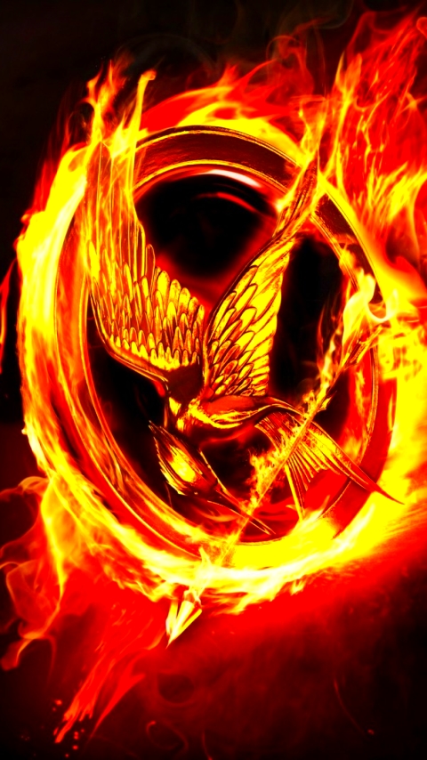 movie, the hunger games, black, mockingjay, fire, flame