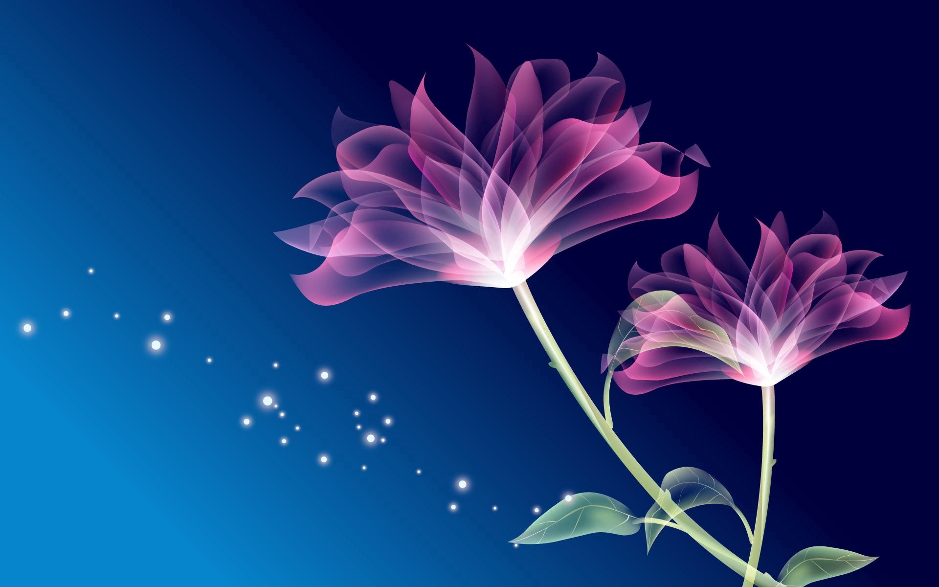 Laden Sie das Abstrakt, Blätter, Blendung, Blütenblätter, Blumen-Bild kostenlos auf Ihren PC-Desktop herunter