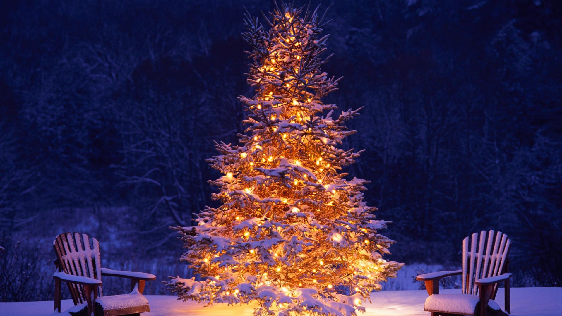 Laden Sie das Feiertage, Weihnachten, Stuhl, Weihnachtsbaum-Bild kostenlos auf Ihren PC-Desktop herunter
