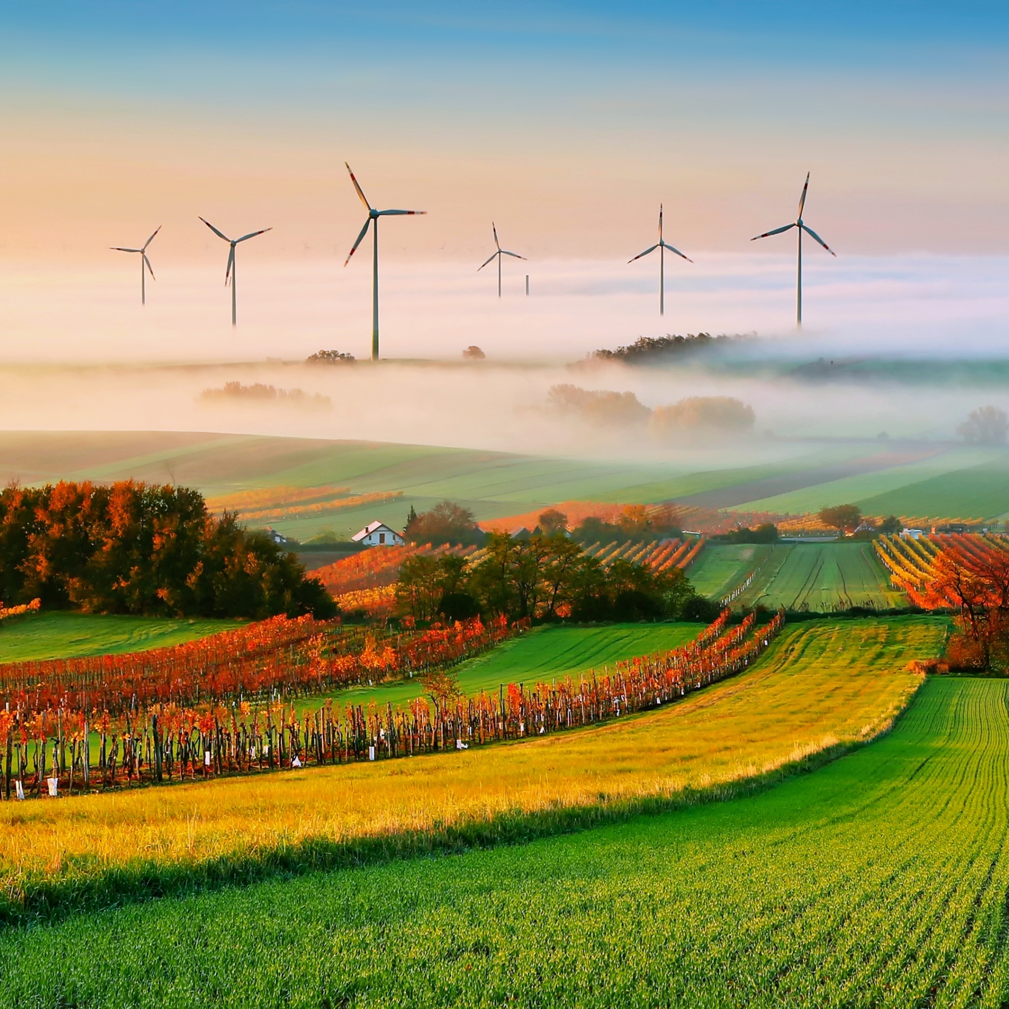 Download mobile wallpaper Landscape, Nature, Fog, Field, Wind Turbine, Man Made for free.