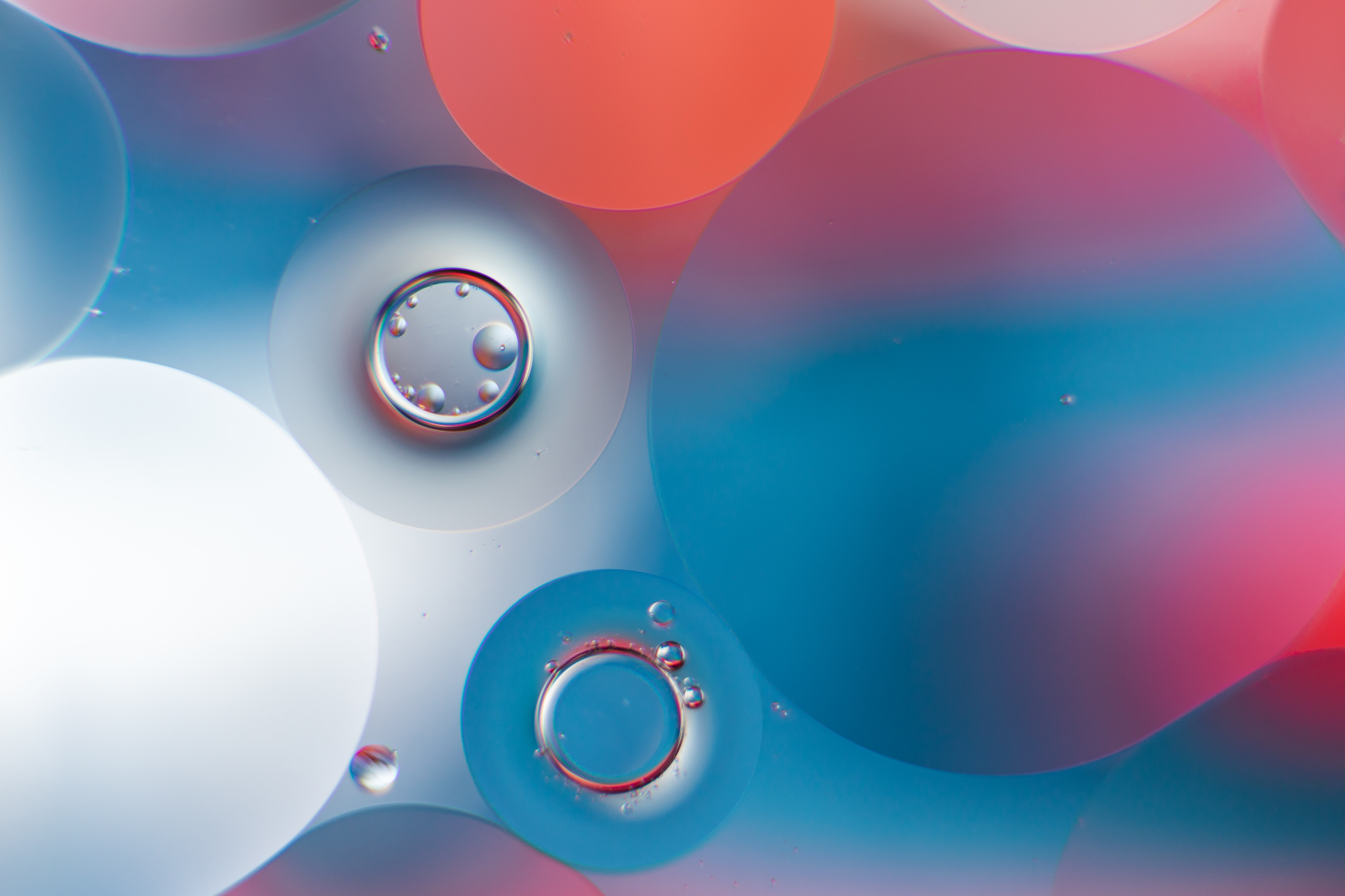 bubbles, gradient, round, abstract, water HD wallpaper