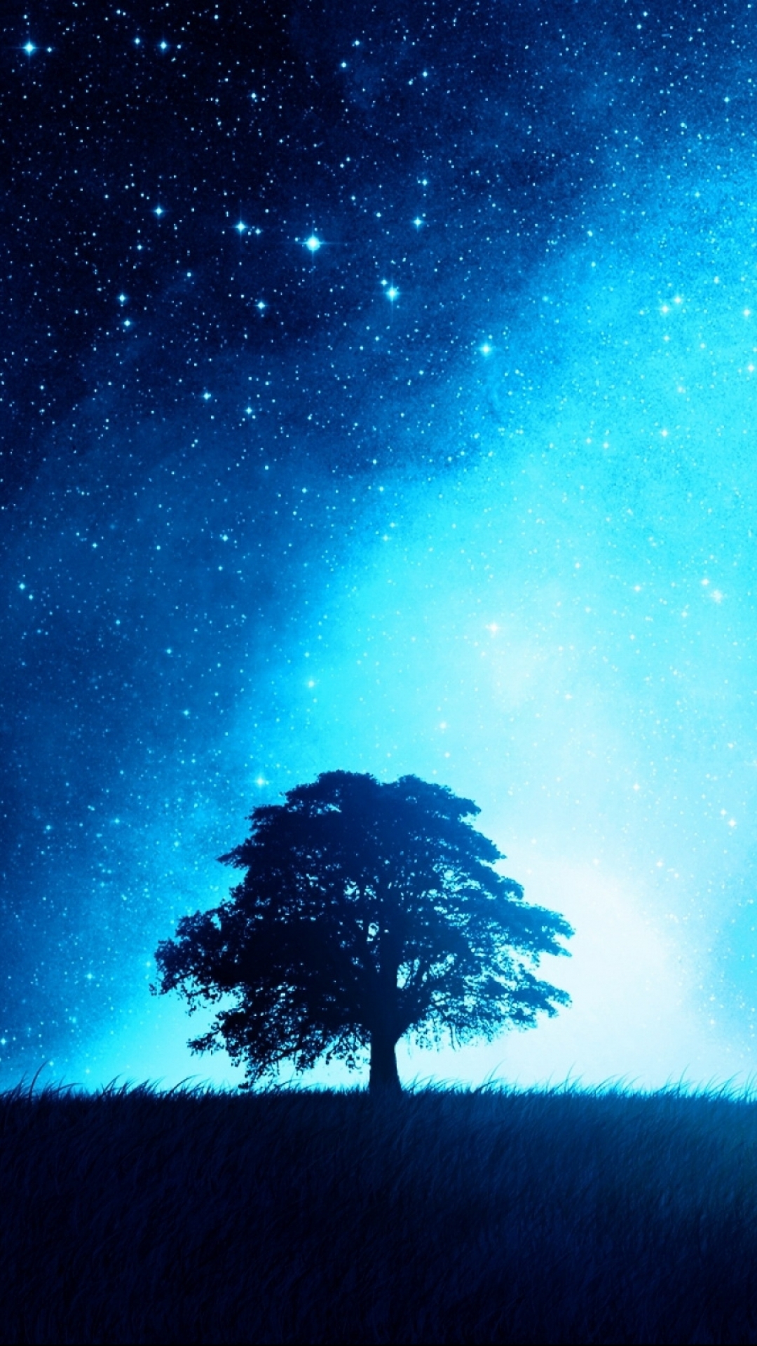 Download mobile wallpaper Trees, Tree, Earth for free.