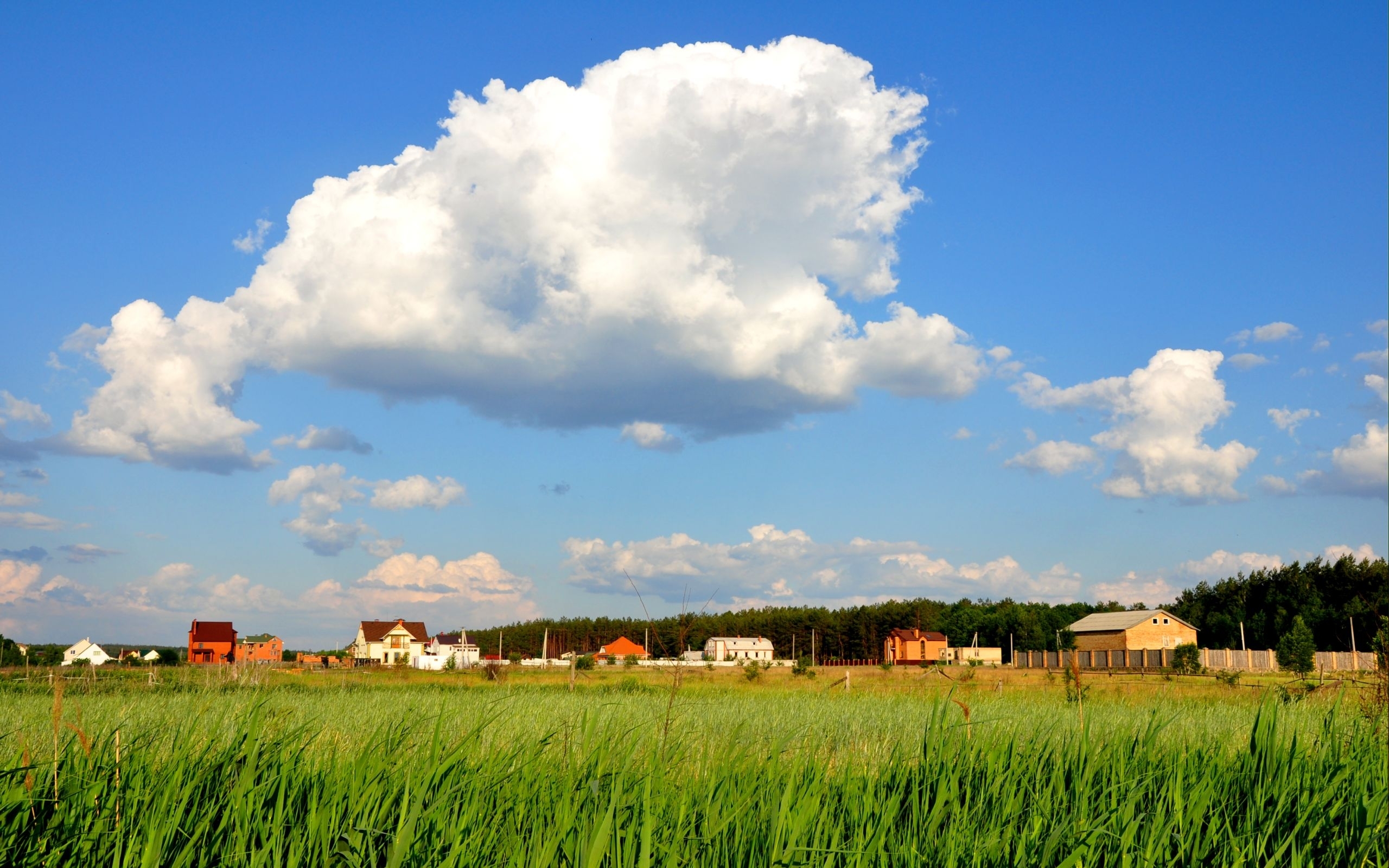 Download mobile wallpaper Clouds, Landscape, Houses, Grass, Sky for free.