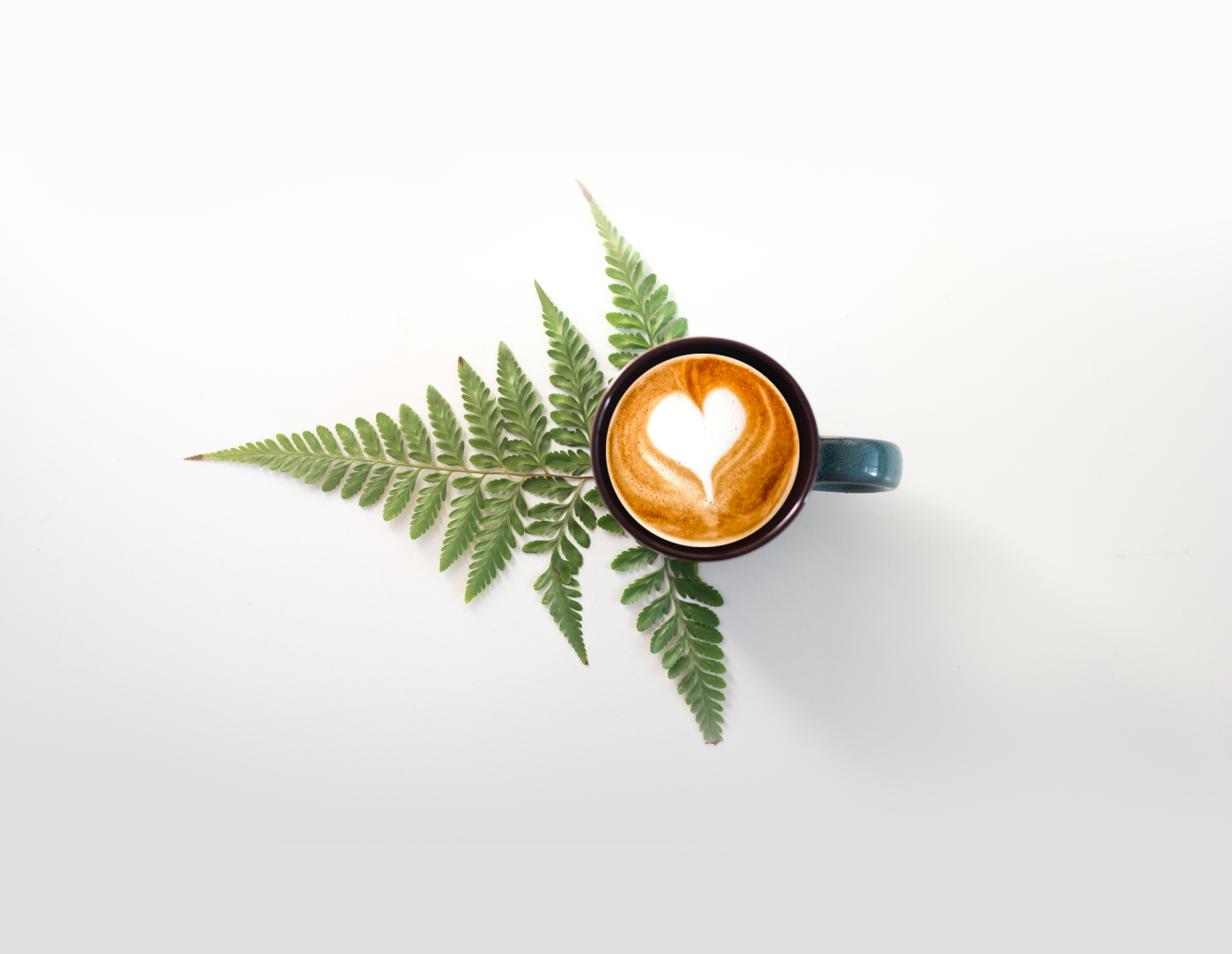 cup, beverage, food, fern, pattern, cappuccino, drink