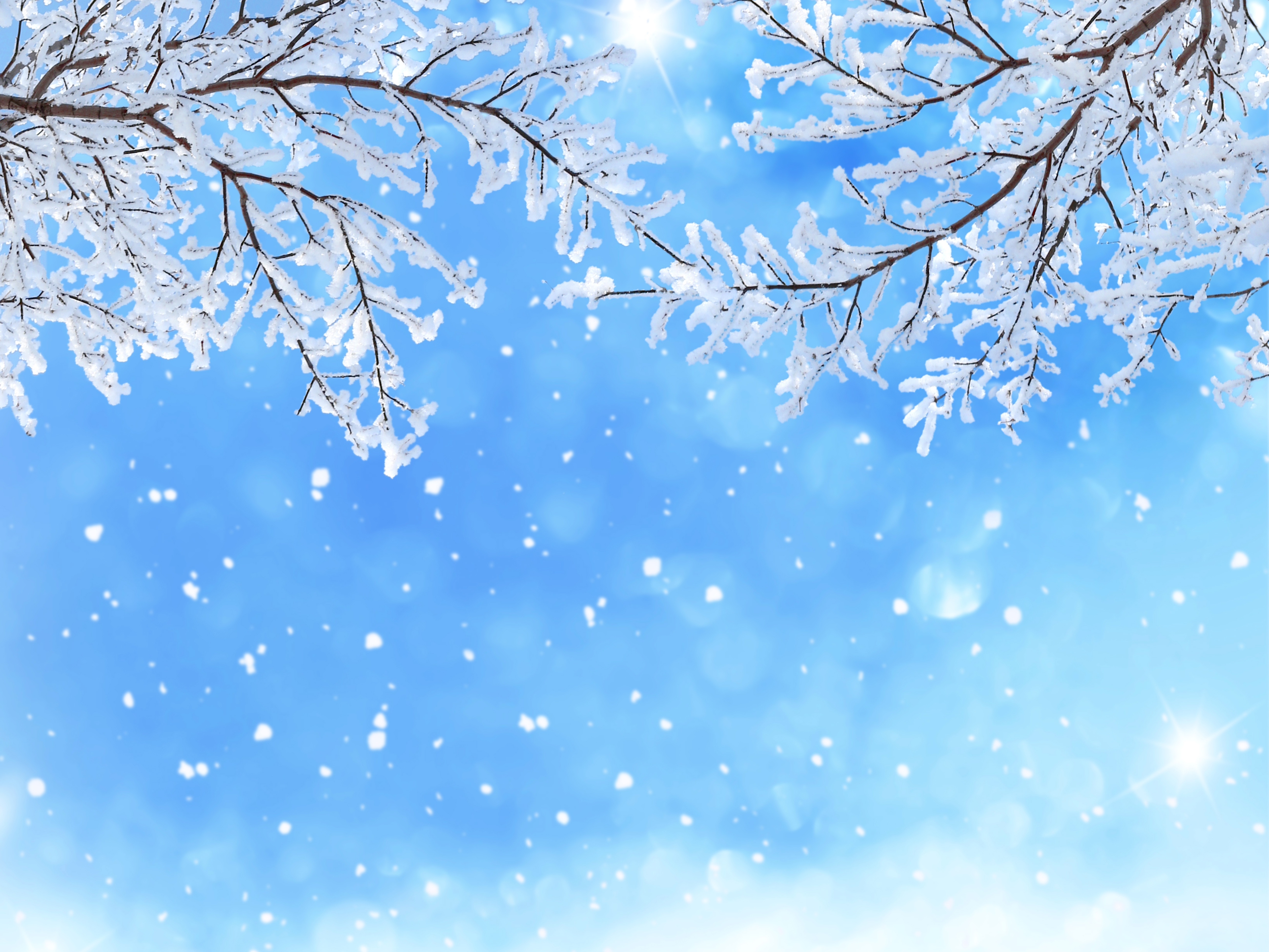 Скачать обои бесплатно Зима, Снег, Снежинки, Ветка, Снегопад, Земля/природа картинка на рабочий стол ПК