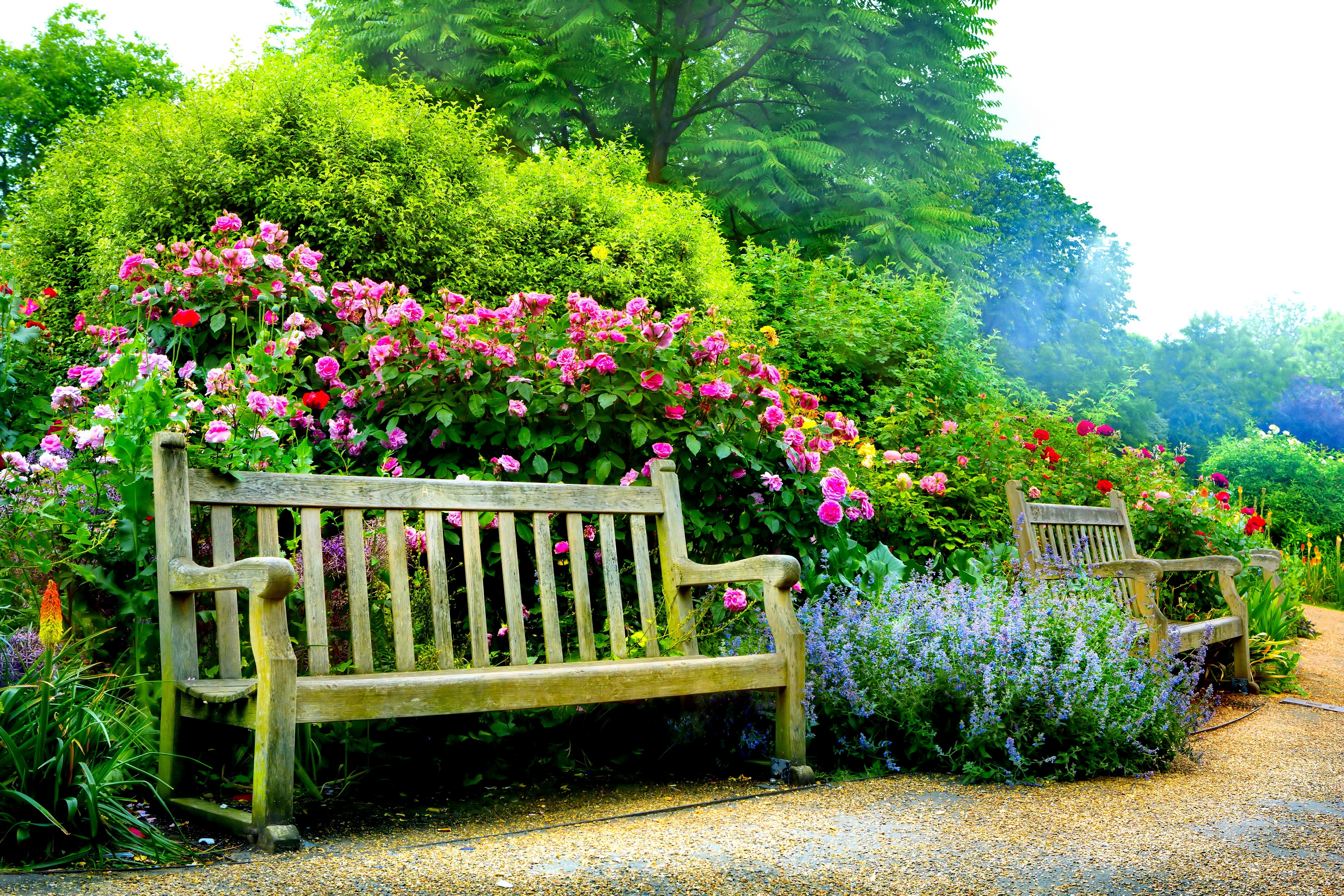 1527393 descargar imagen primavera, hecho por el hombre, banco, flor, parque, flor rosa: fondos de pantalla y protectores de pantalla gratis