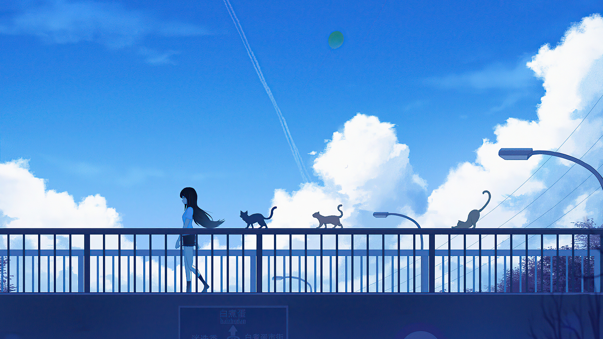 Free download wallpaper Anime, Cat, Girl, Cloud on your PC desktop