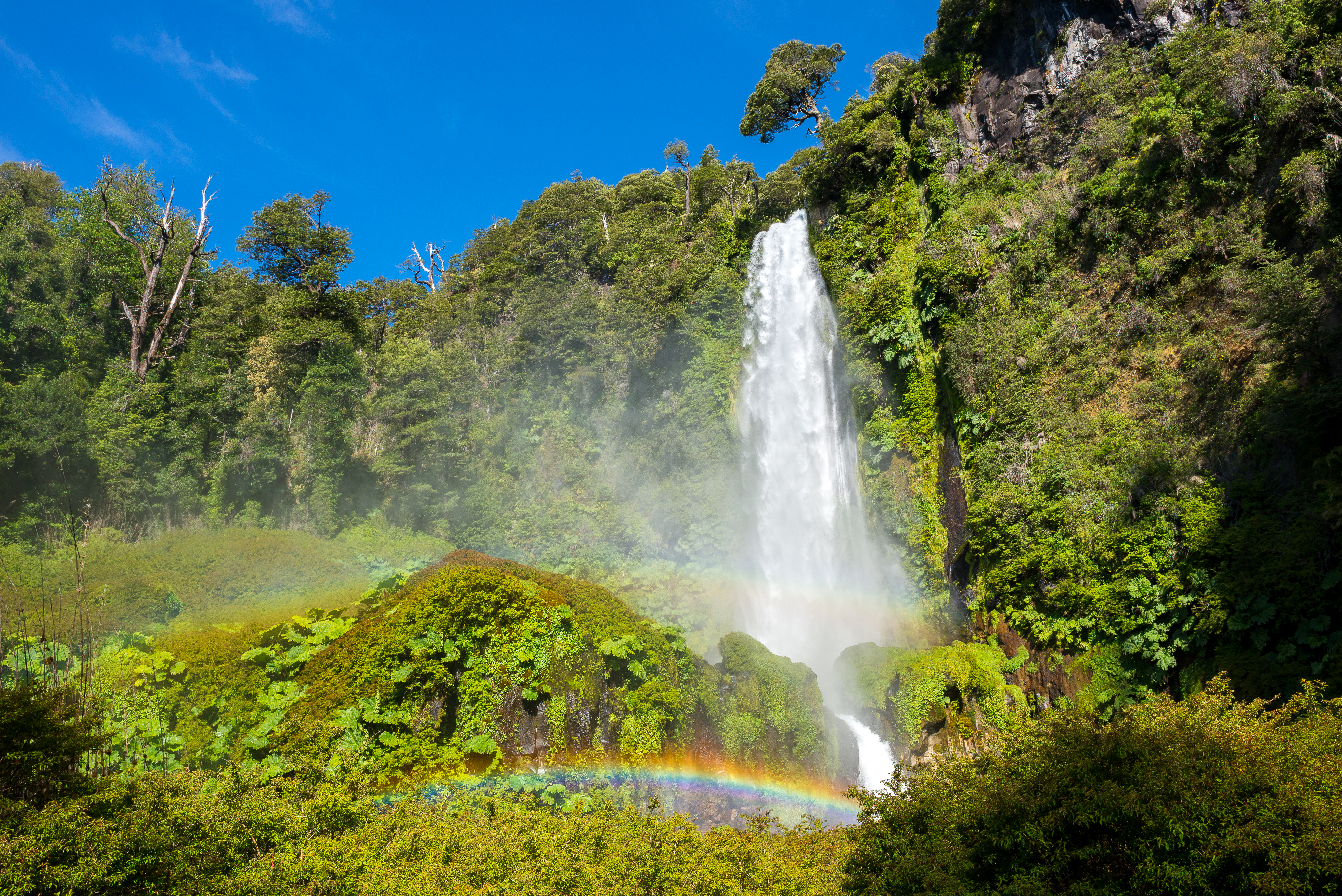 Laden Sie das Natur, Wasserfälle, Regenbogen, Wasserfall, Baum, Erde/natur-Bild kostenlos auf Ihren PC-Desktop herunter