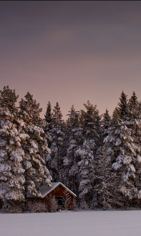 Handy-Wallpaper Winter, Schnee, Erde/natur kostenlos herunterladen.