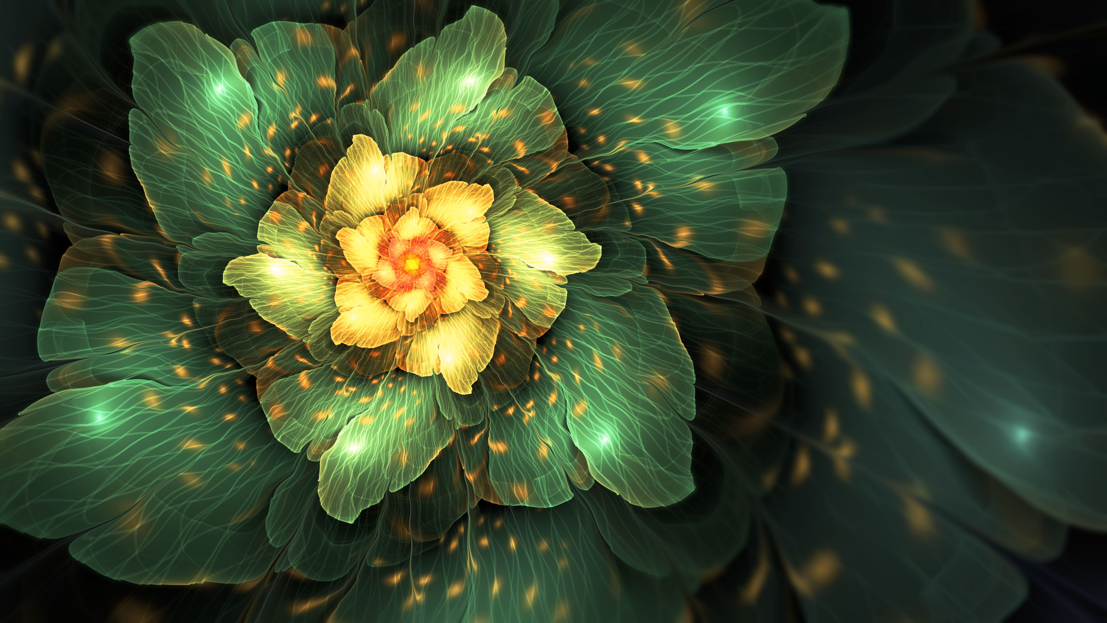 Free download wallpaper Abstract, Flower, Fractal on your PC desktop