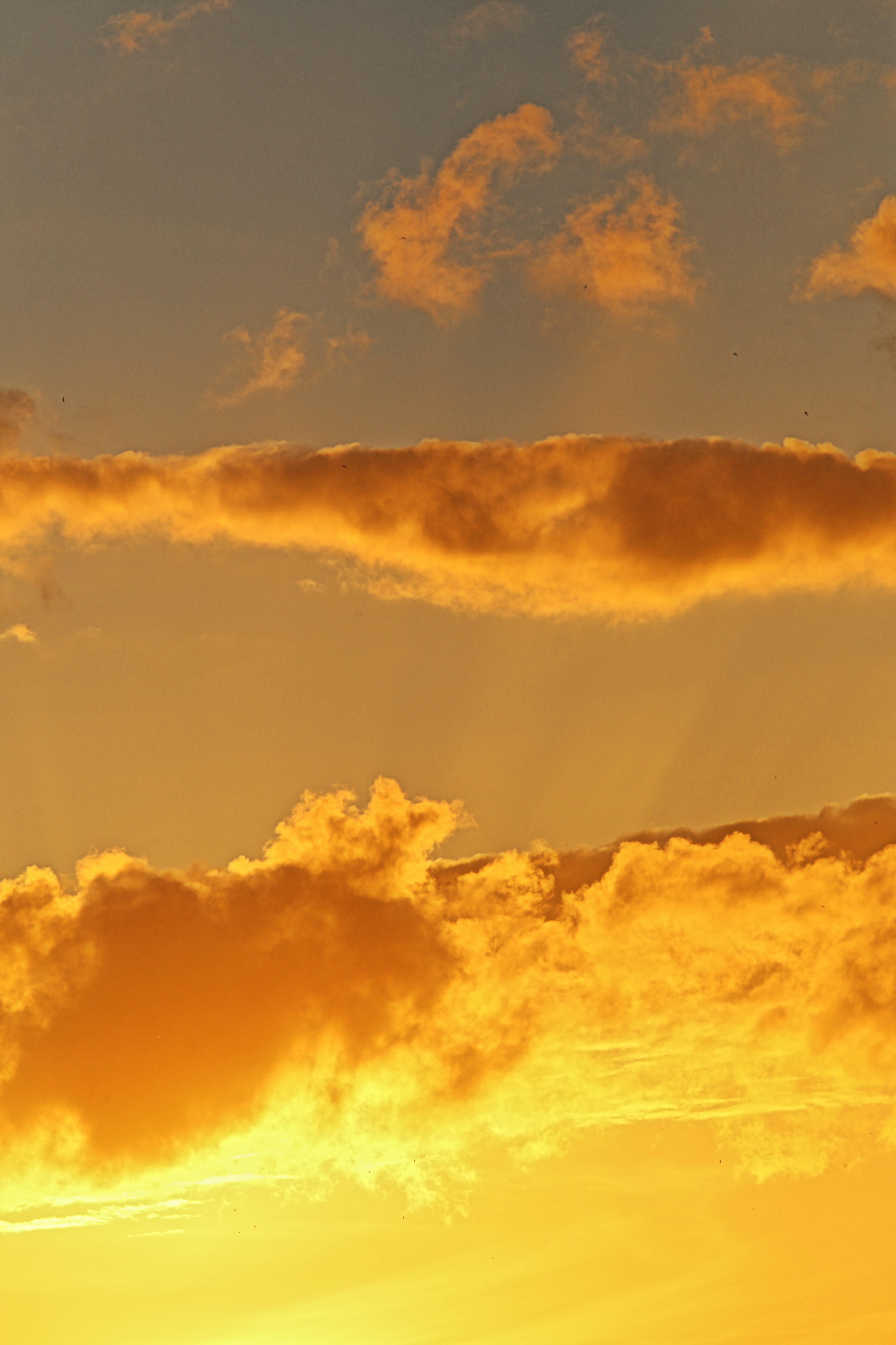 Download mobile wallpaper Sky, Clouds, Nature, Gold, Sunset, Golden for free.