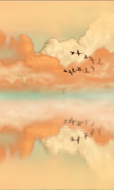 Download mobile wallpaper Landscape, Nature, Water, Lake, Reflection, Bird, Artistic, Cloud, Orange (Color), Teal for free.