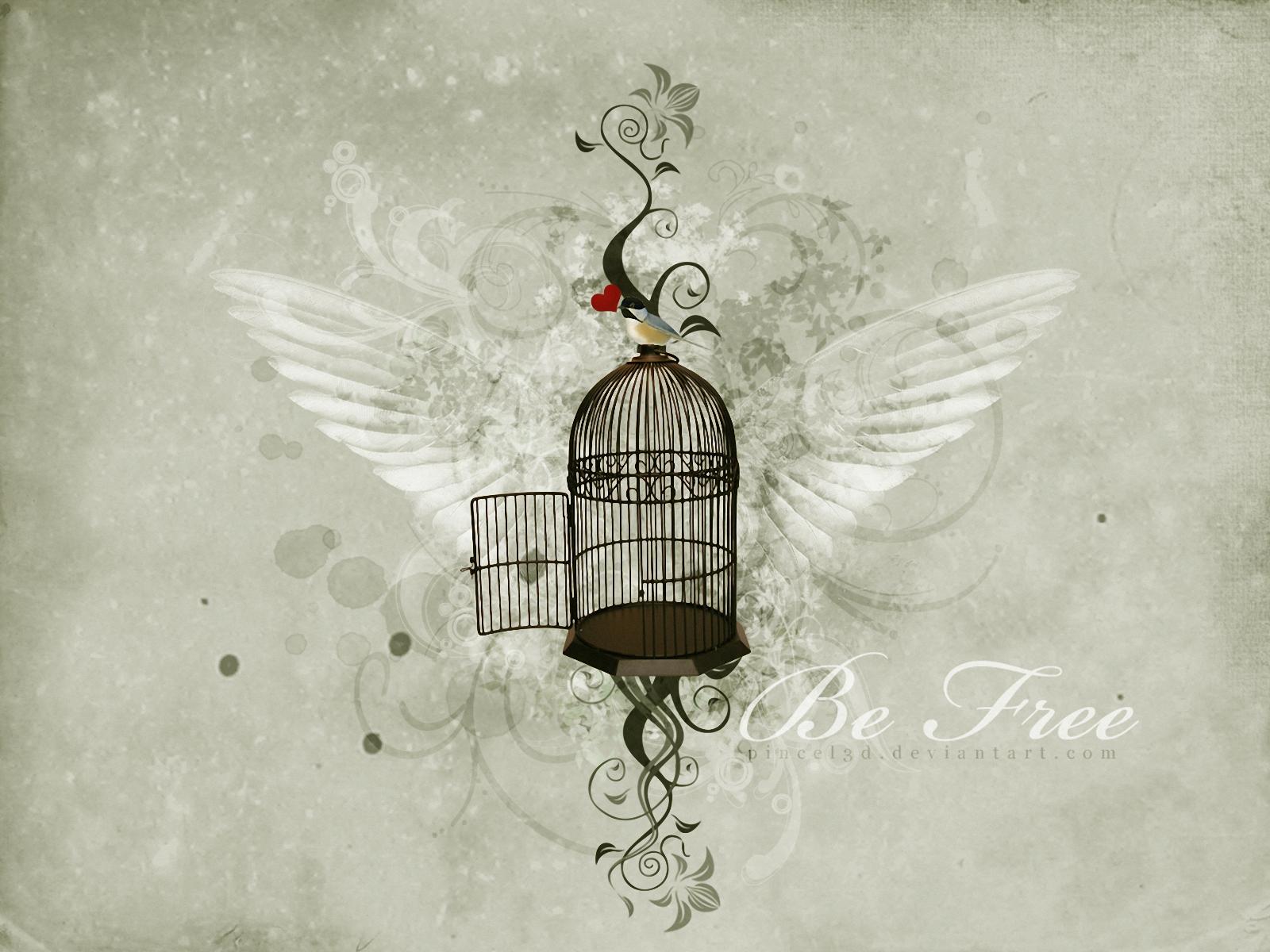 Download mobile wallpaper Bird, Wings, Heart, Artistic, Other, Birdcage for free.