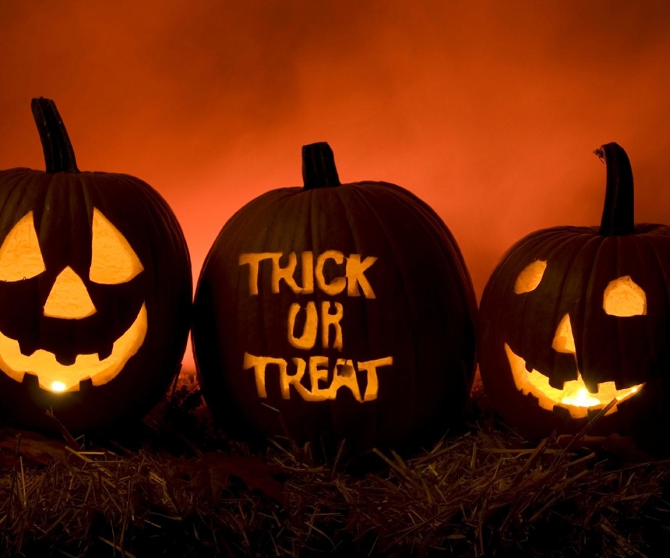 Download mobile wallpaper Halloween, Pumpkin, Holiday, Jack O' Lantern, Trick Or Treat for free.