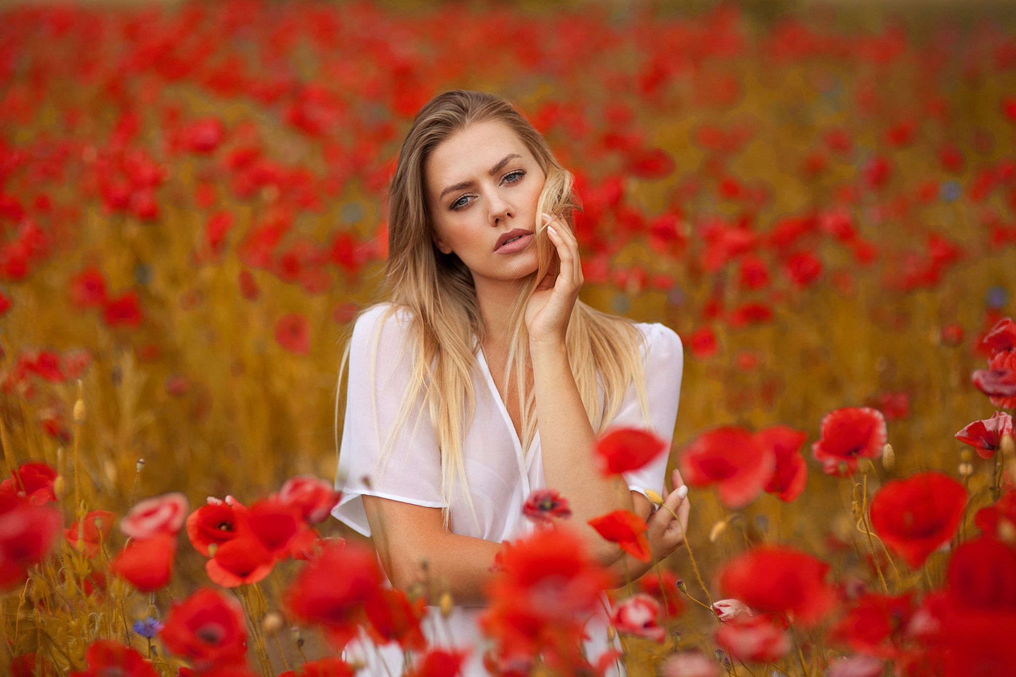 Download mobile wallpaper Blonde, Poppy, Model, Women, Red Flower for free.