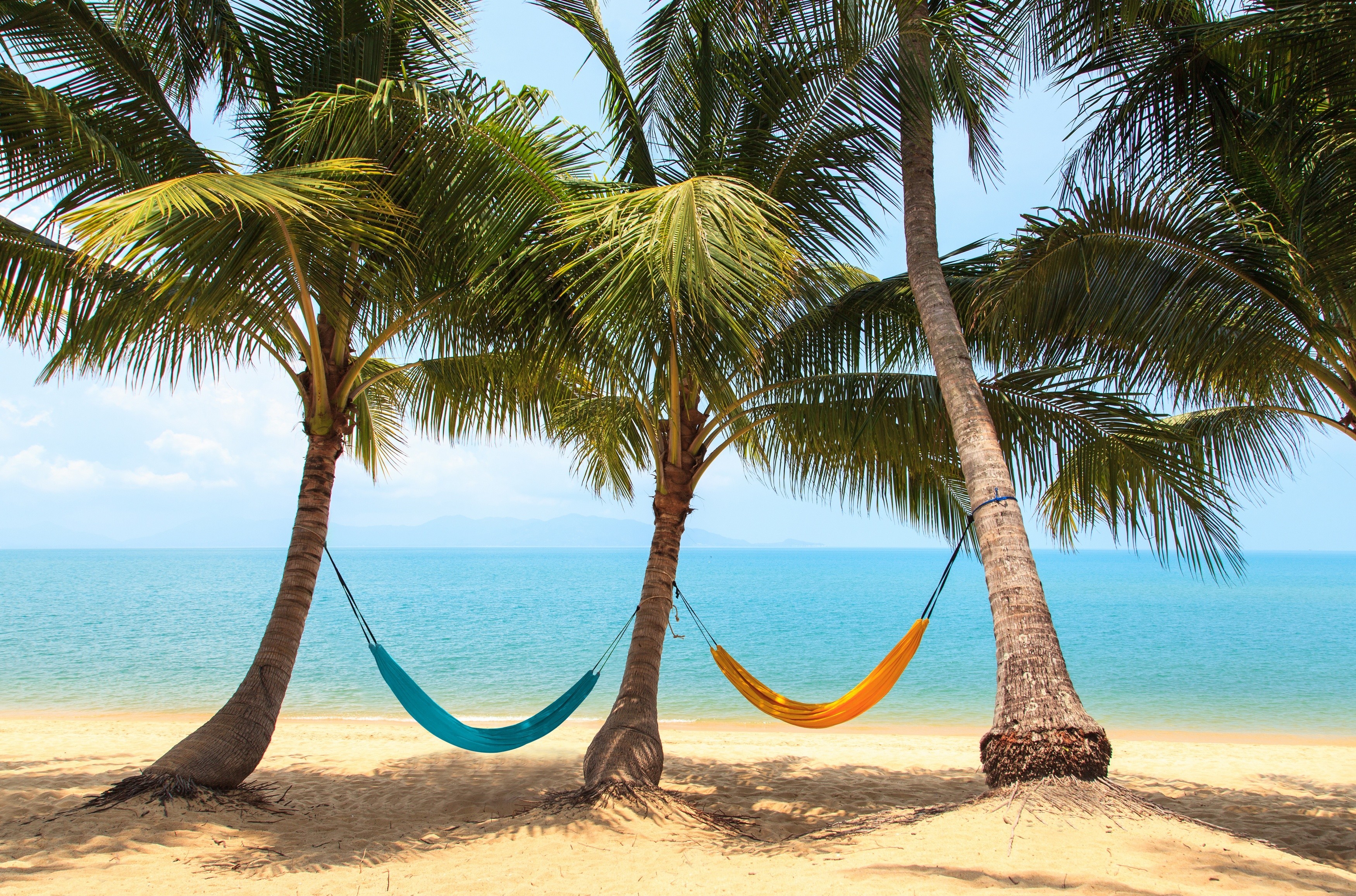 man made, hammock, beach, holiday, palm tree, resting, sea, tropics