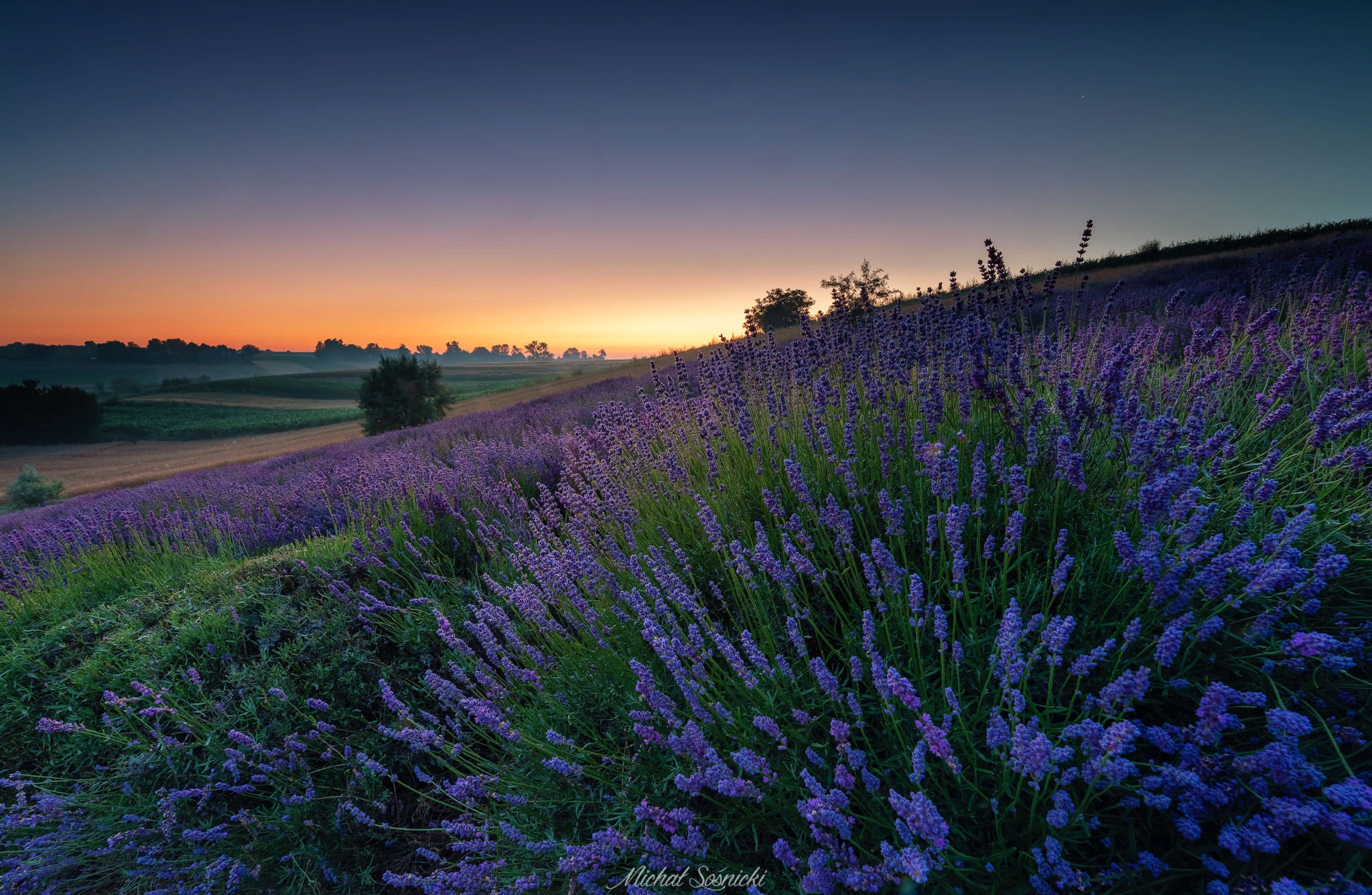 Download mobile wallpaper Sunset, Earth, Meadow, Lavender for free.