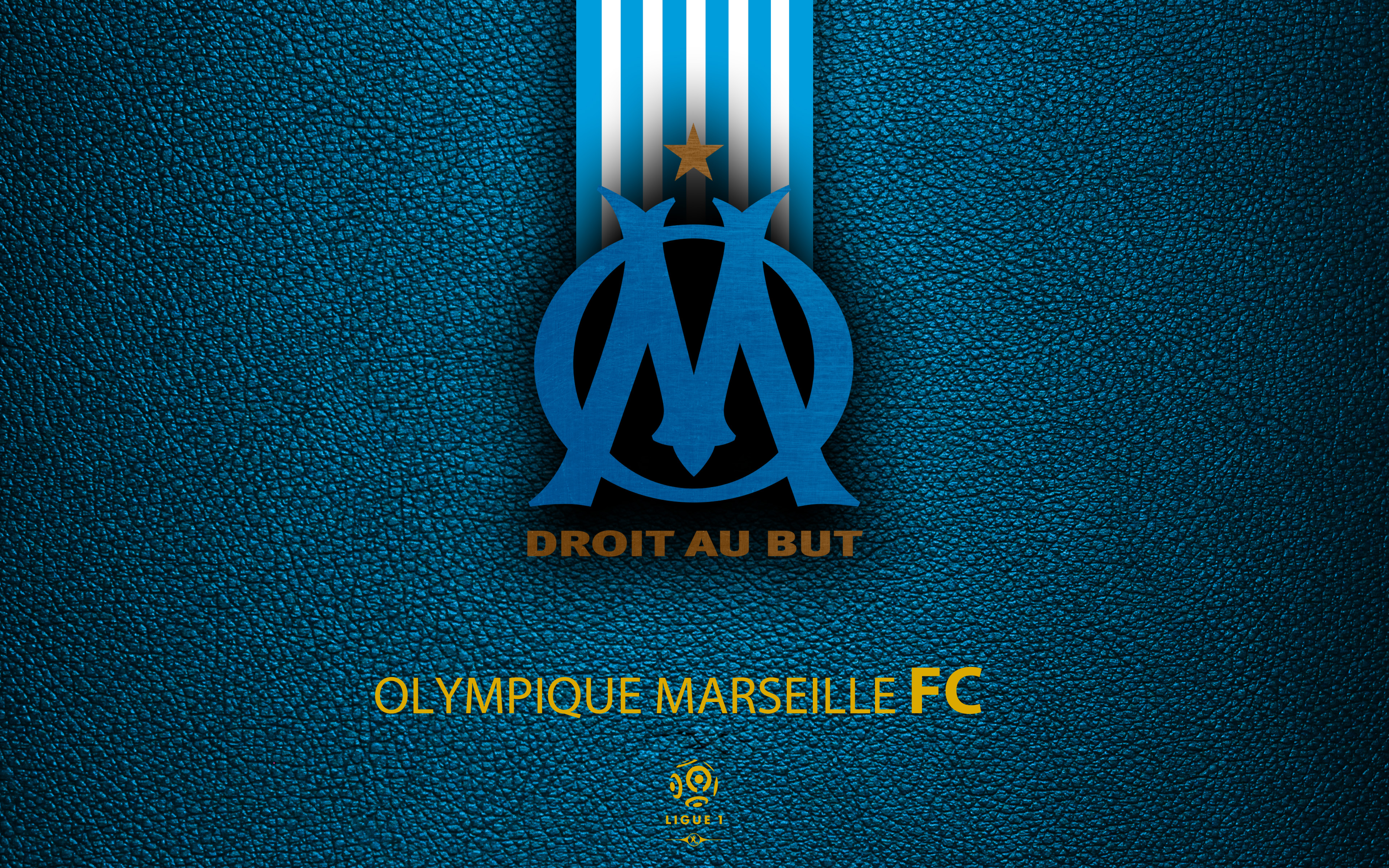 1531776 économiseurs d'écran et fonds d'écran Olympique De Marseille sur votre téléphone. Téléchargez  images gratuitement