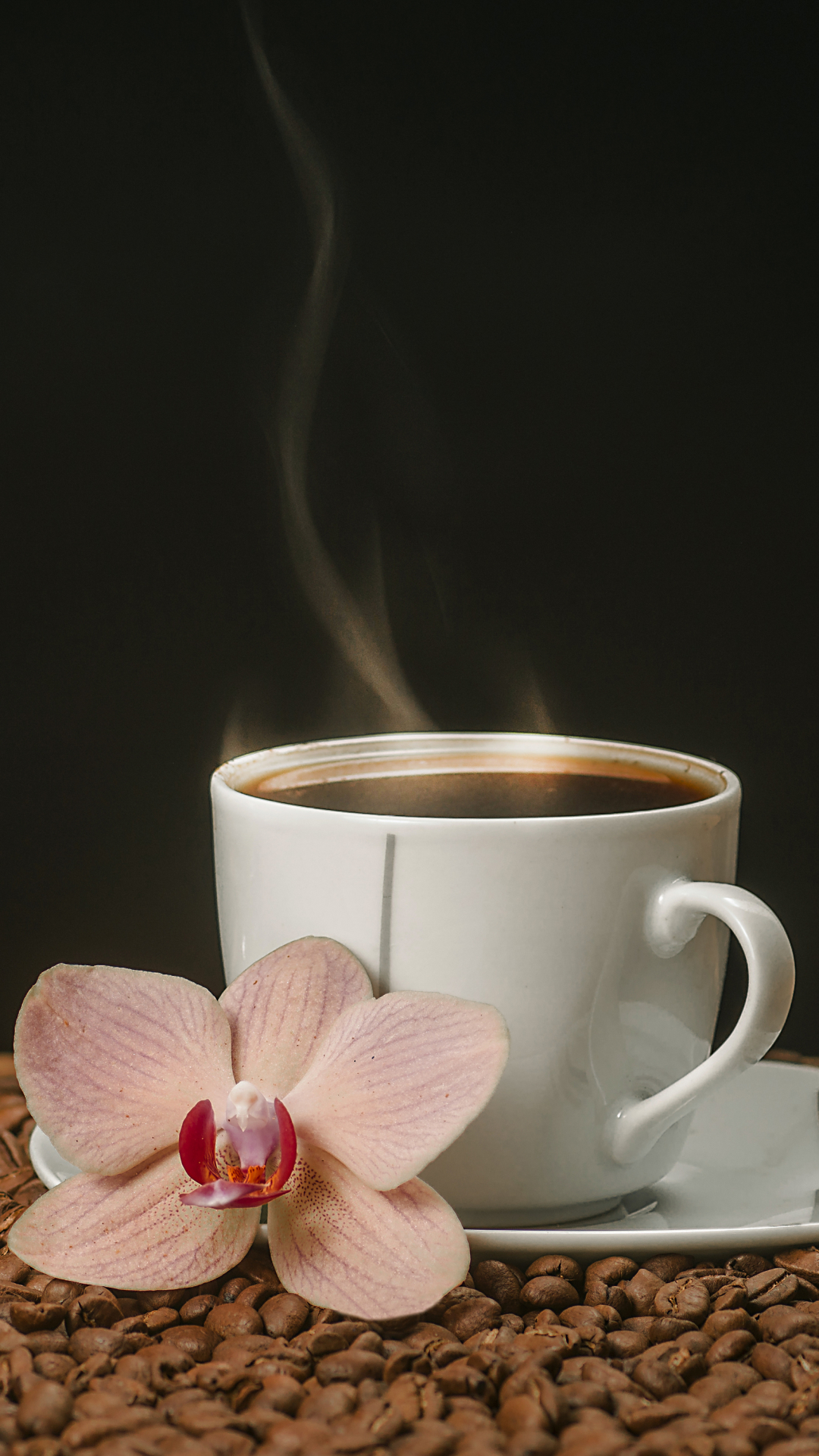 Baixar papel de parede para celular de Comida, Café, Natureza Morta, Grãos De Café, Xícara gratuito.