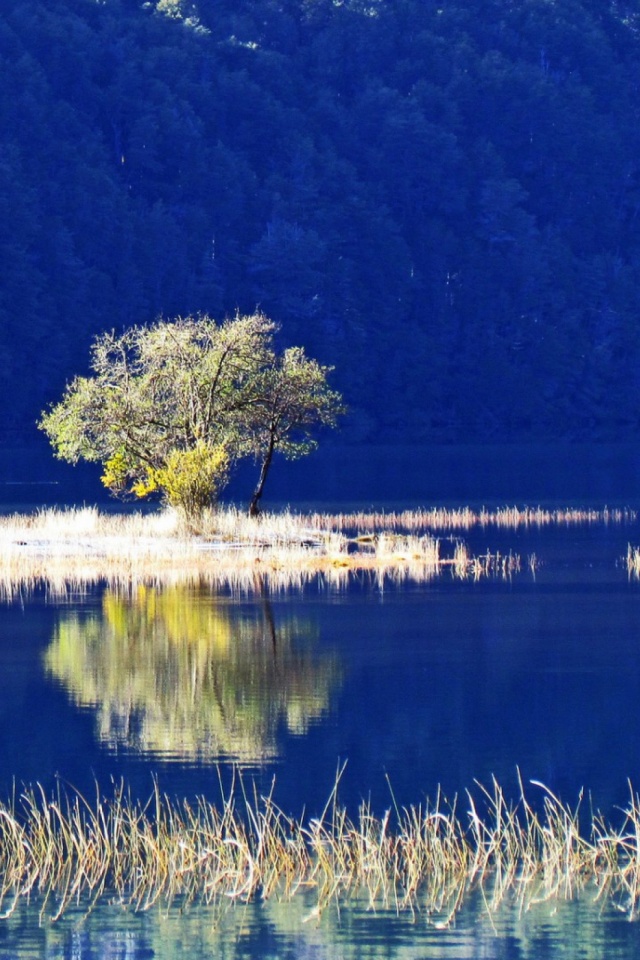 Baixar papel de parede para celular de Natureza, Água, Árvore, Terra, Terra/natureza, Reflecção gratuito.