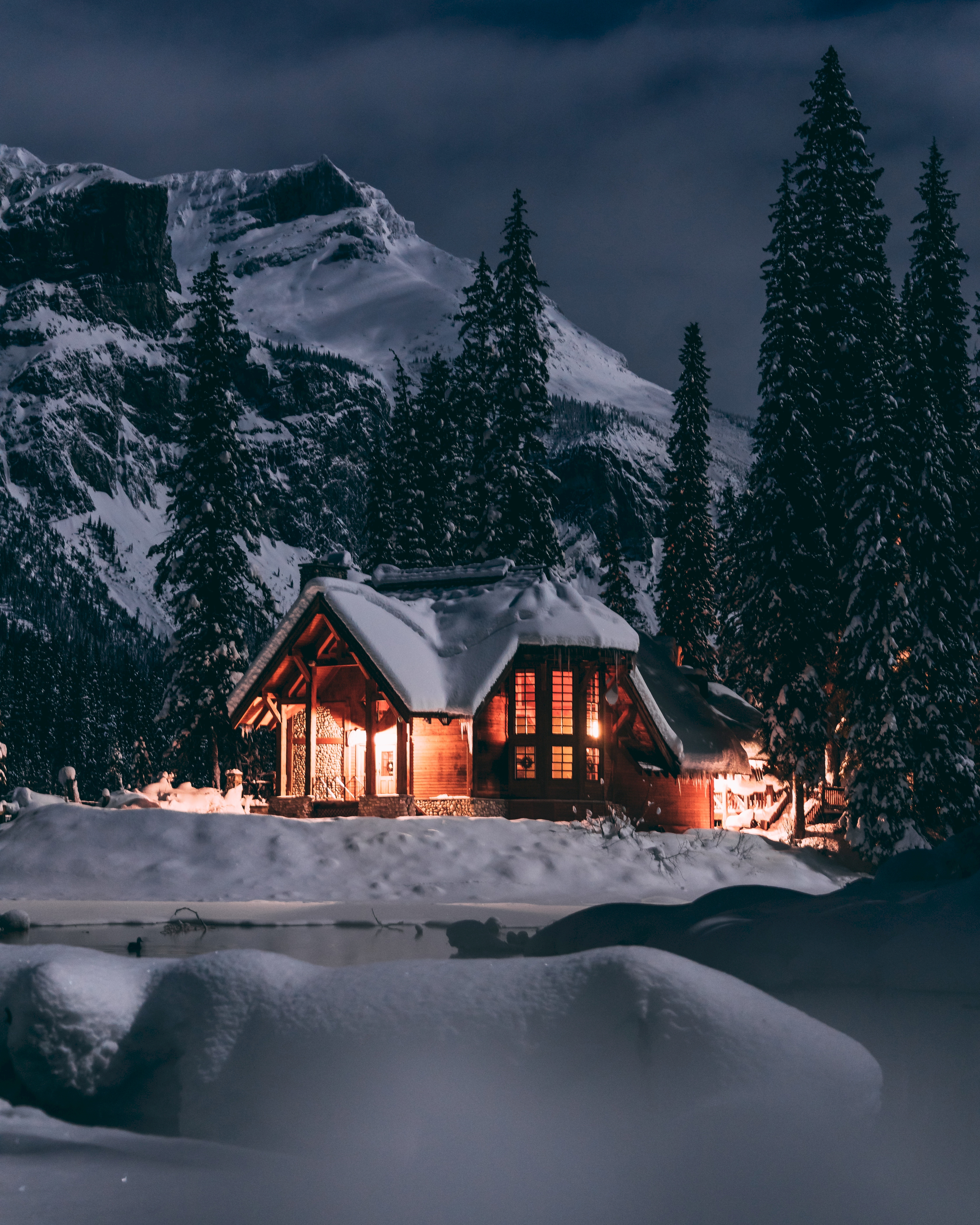 snow, winter, nature, trees, small house, lodge, evening