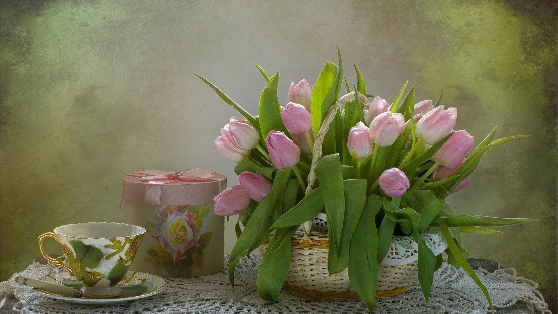 Free download wallpaper Still Life, Flower, Tulip, Photography on your PC desktop