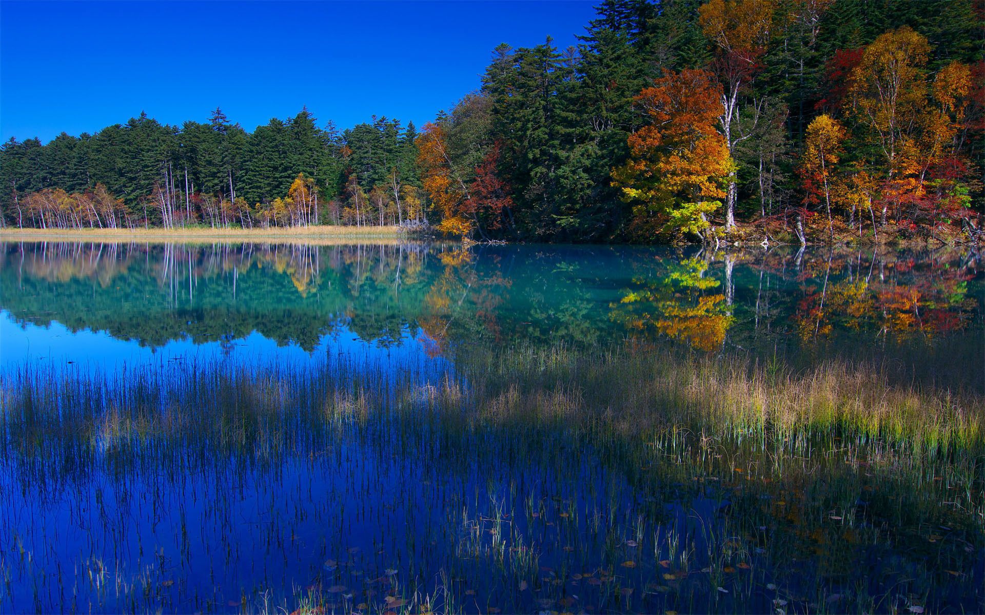 136258 скачать обои сентябрь, голубой, деревья, озеро, трава, вода, берег, природа, небо, отражение - заставки и картинки бесплатно