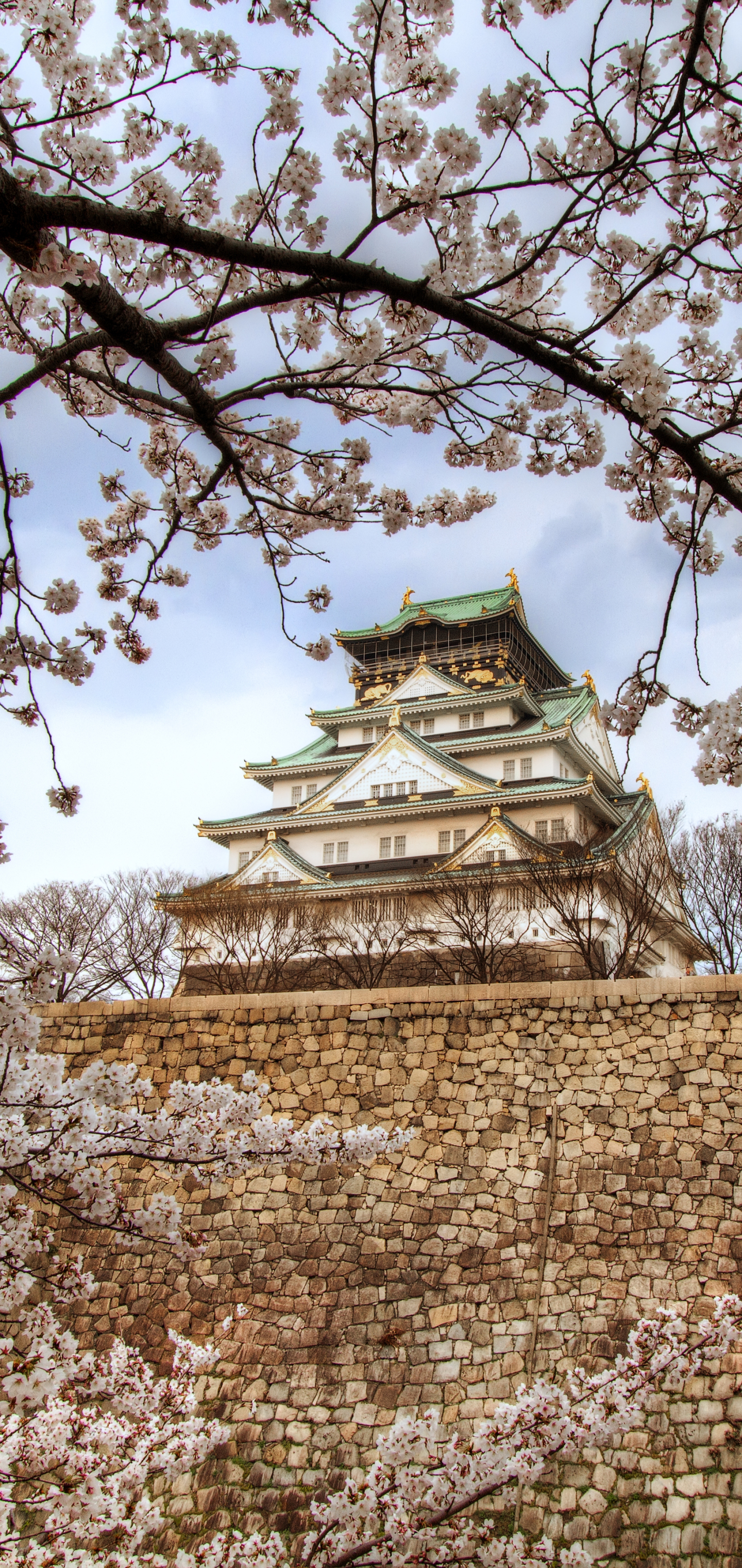 1154766 скачать картинку сделано человеком, осакский замок, весна, осака, сакура, япония, вишня в цвету, замки - обои и заставки бесплатно