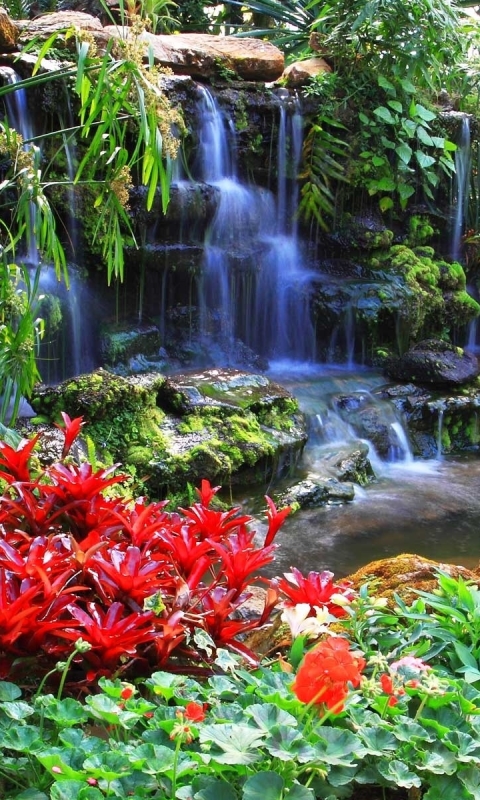 Handy-Wallpaper Natur, Wasserfälle, Wasserfall, Garten, Teich, Erde/natur, Planze, Anlage kostenlos herunterladen.