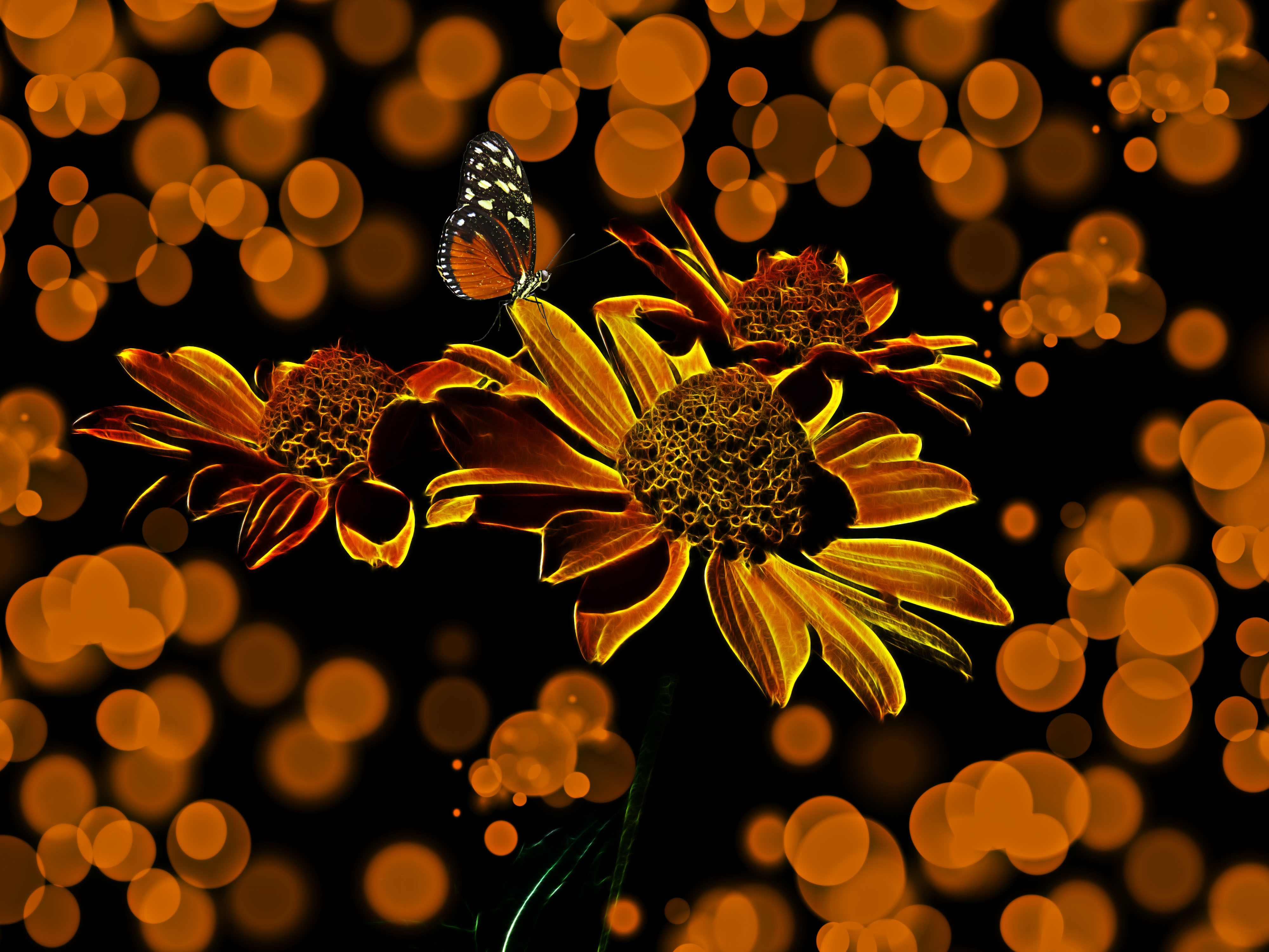 Laden Sie das Blumen, Blume, Neon, Bokeh, Künstlerisch-Bild kostenlos auf Ihren PC-Desktop herunter