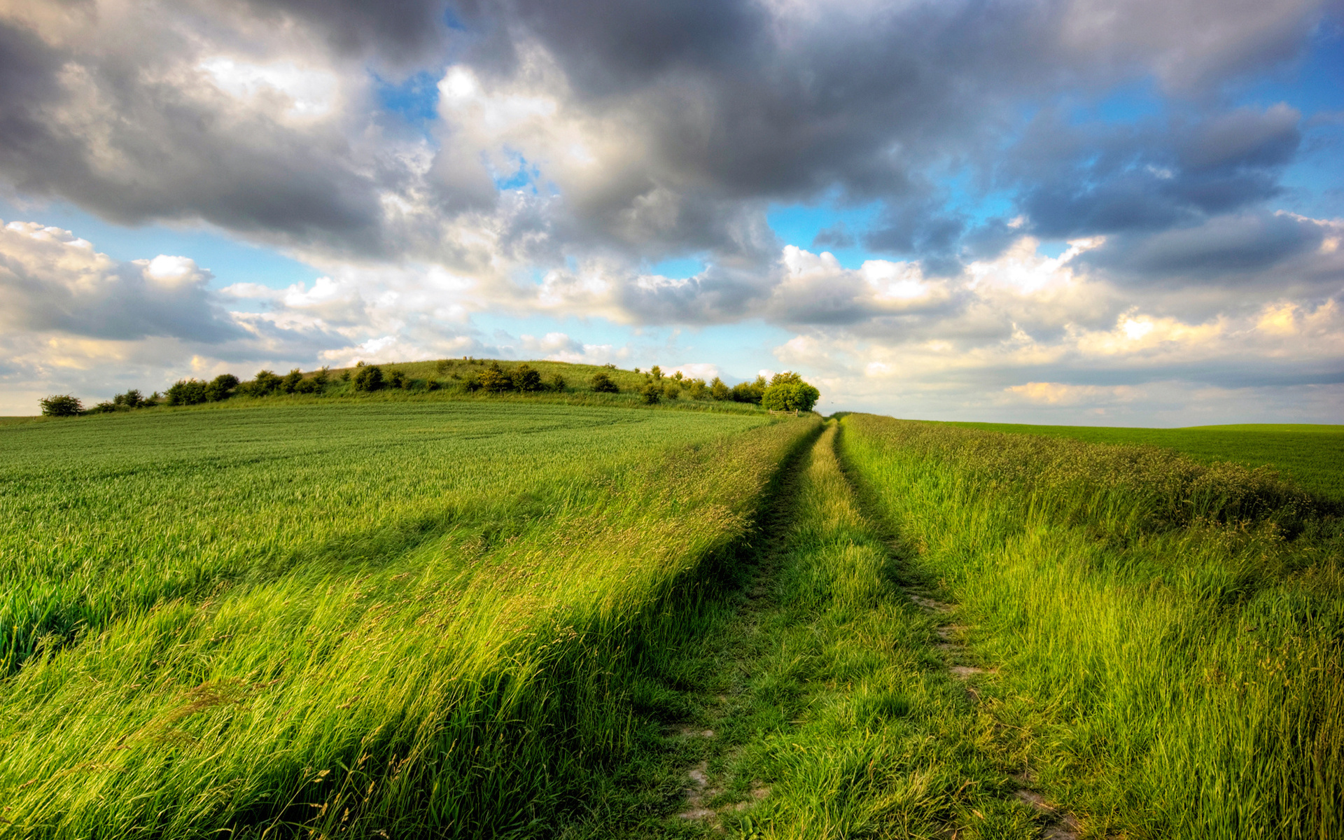 Laden Sie das Pfad, Erde/natur-Bild kostenlos auf Ihren PC-Desktop herunter