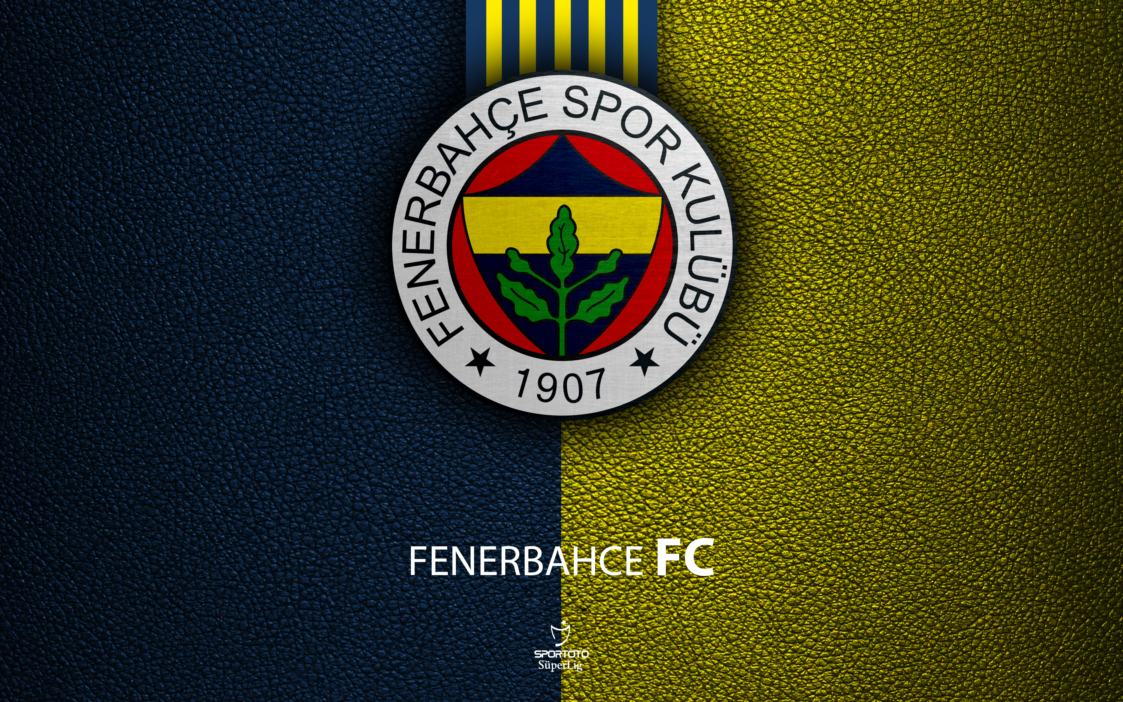 455137 Bild herunterladen fenerbahçe istanbul, sport, emblem, logo, fußball - Hintergrundbilder und Bildschirmschoner kostenlos