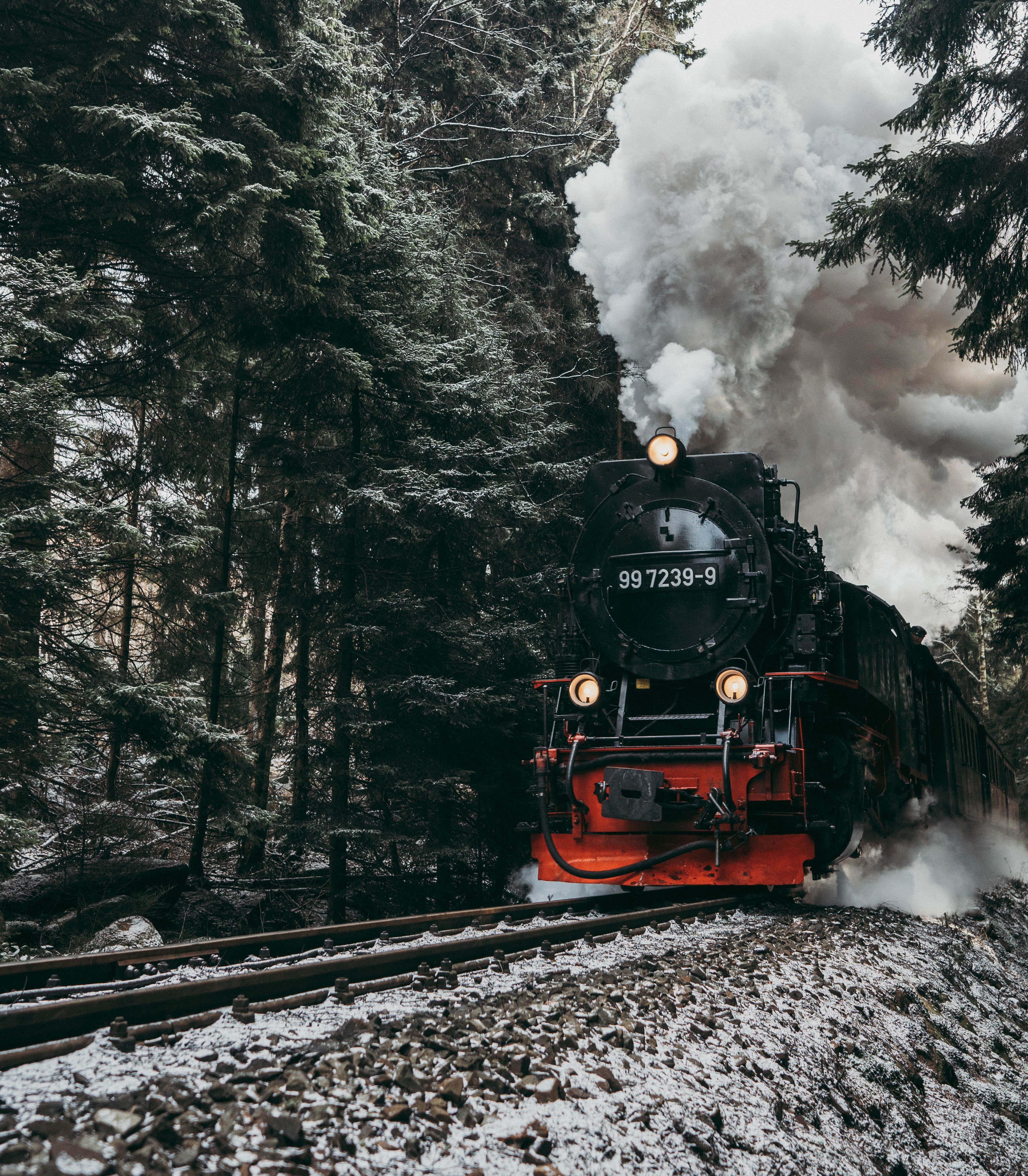 128624 скачать картинку поезд, лес, паровоз, разное, дым, рельсы - обои и заставки бесплатно