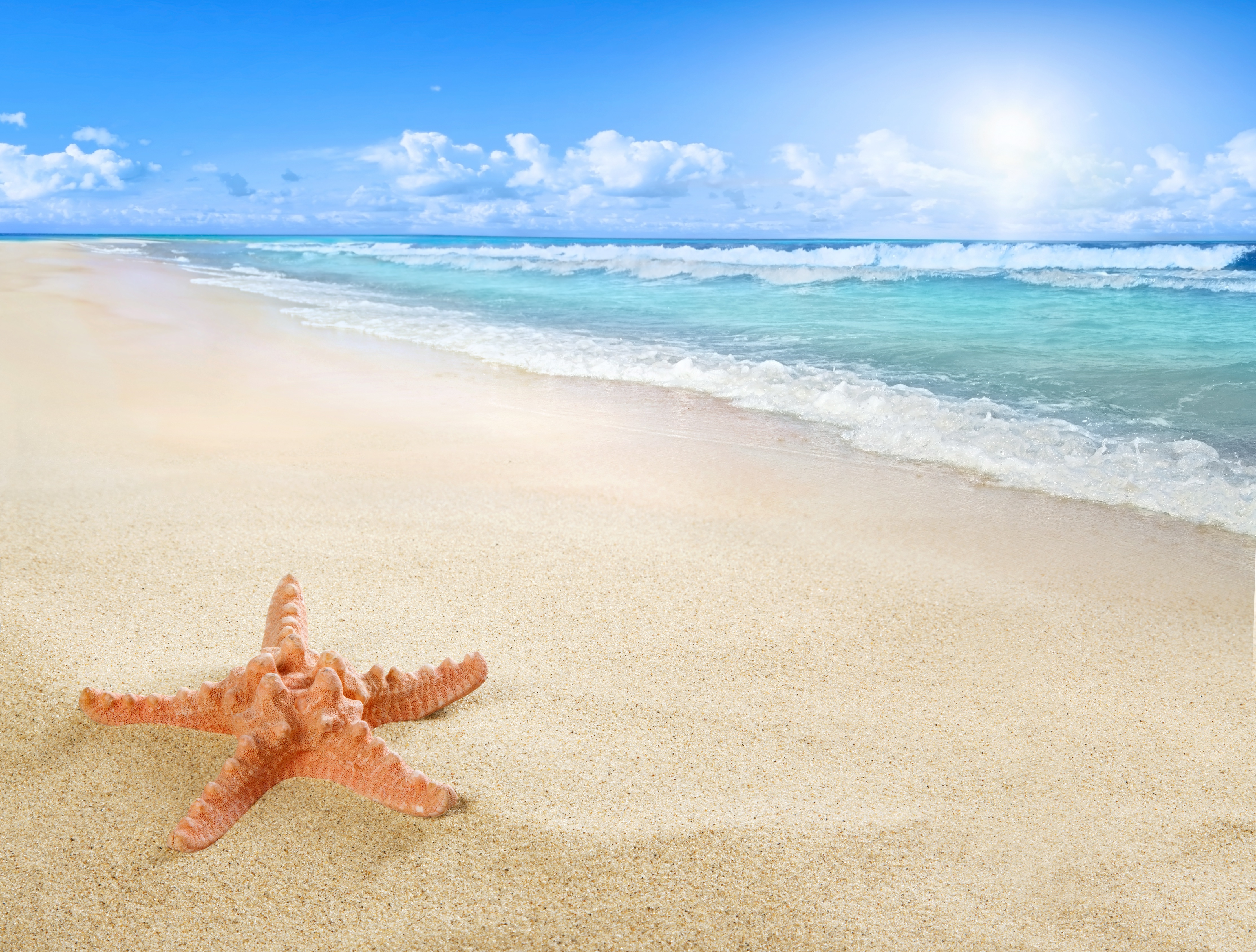 Free download wallpaper Nature, Sky, Sun, Beach, Sand, Starfish, Horizon, Ocean, Earth, Cloud, Wave on your PC desktop