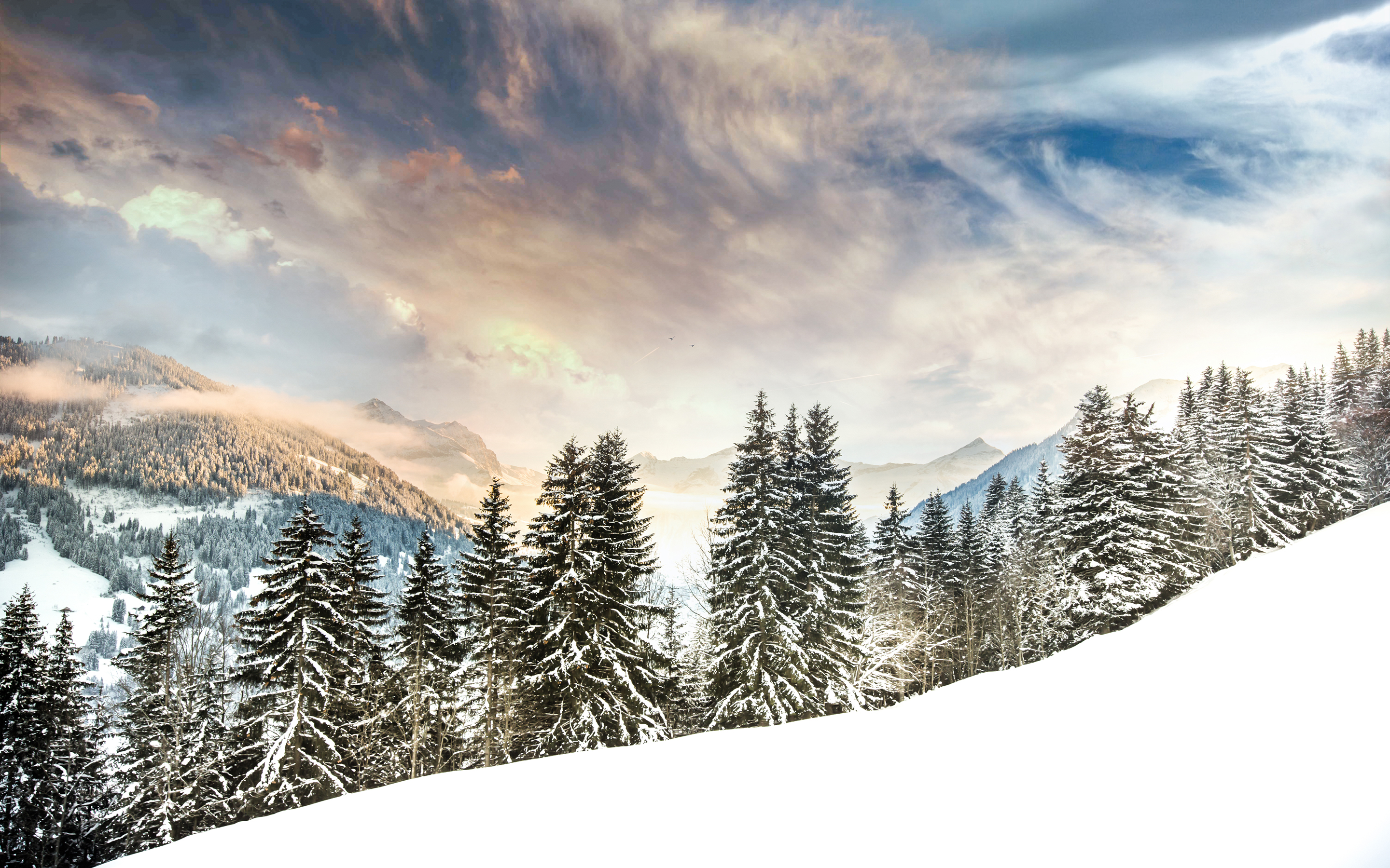 無料モバイル壁紙冬, 木, 雪, 森, 地球をダウンロードします。