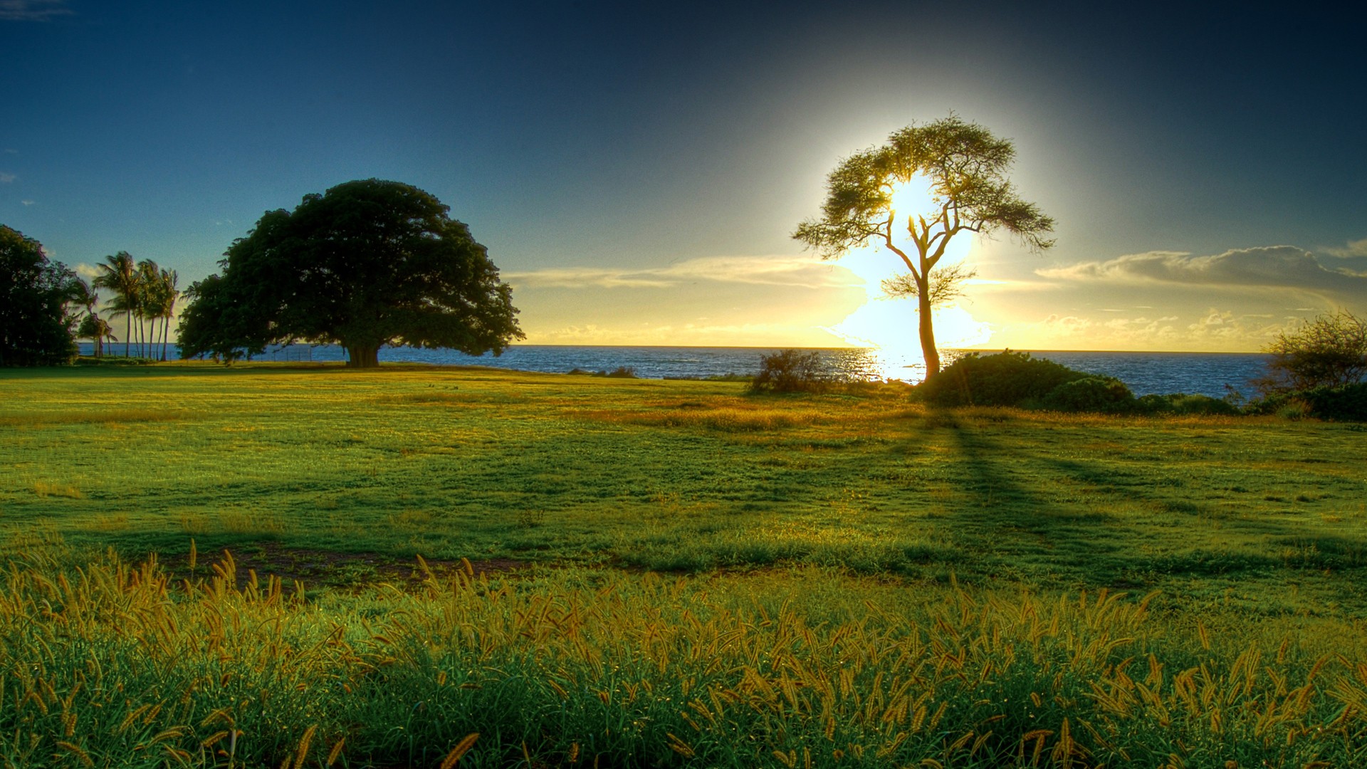 Téléchargez gratuitement l'image Coucher De Soleil, Terre/nature sur le bureau de votre PC