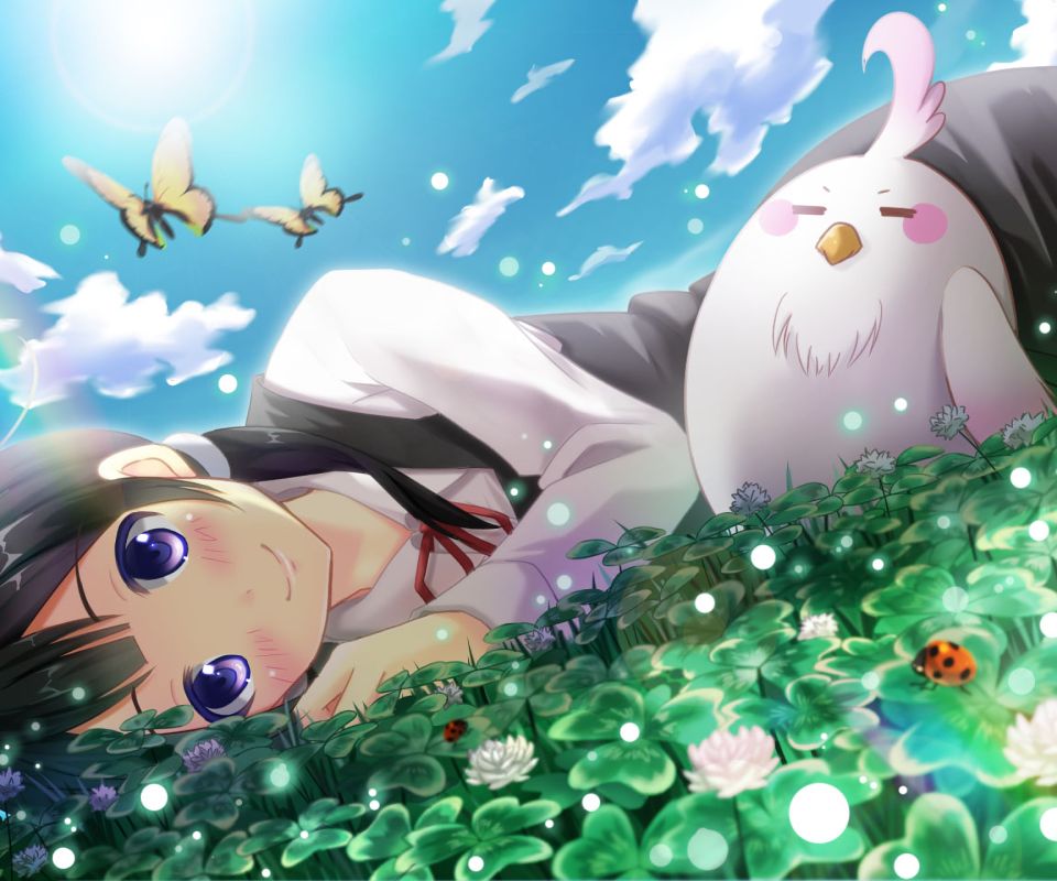 Download mobile wallpaper Anime, Tamako Market for free.