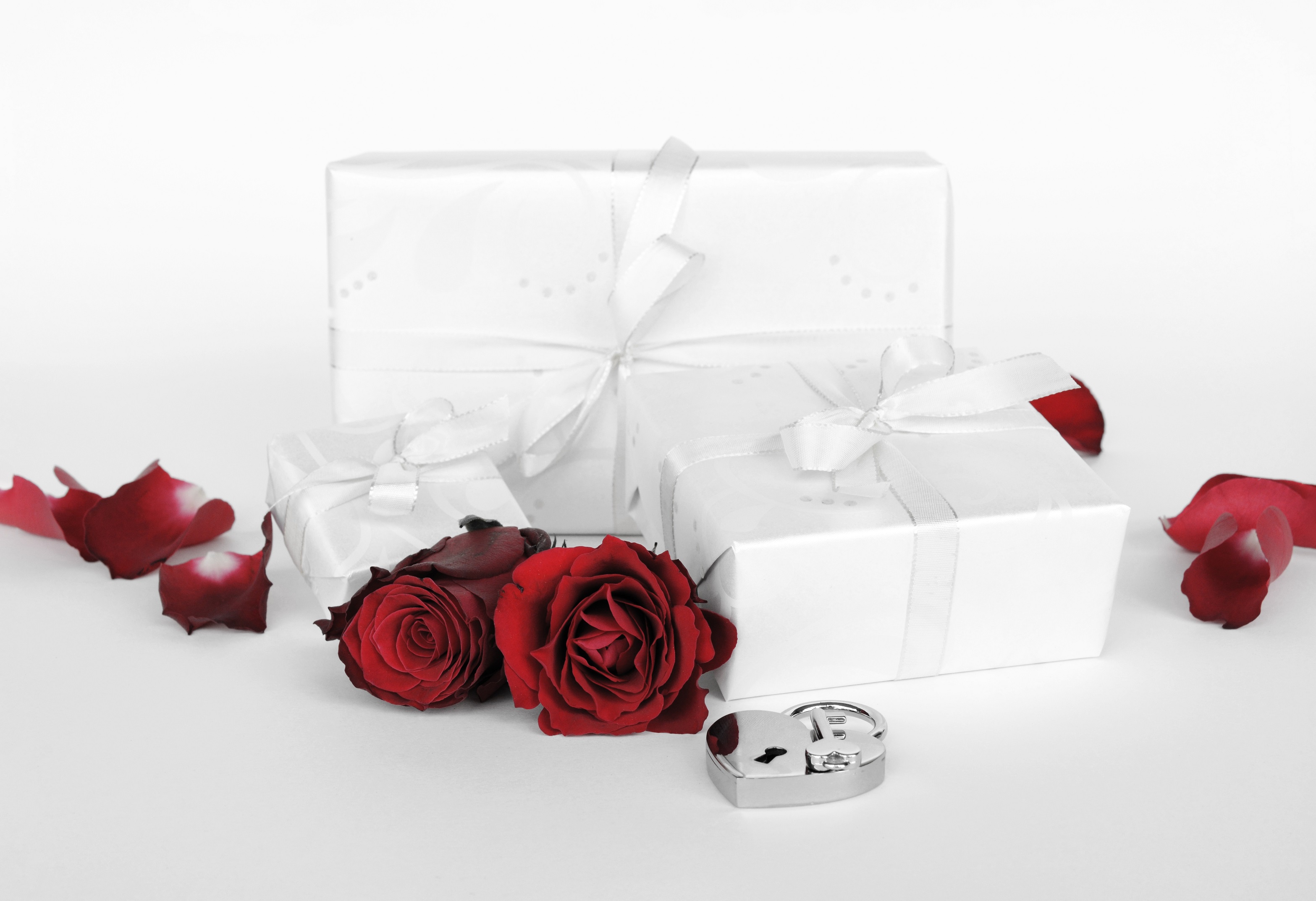 Free download wallpaper Valentine's Day, Flower, Rose, Holiday, Gift on your PC desktop