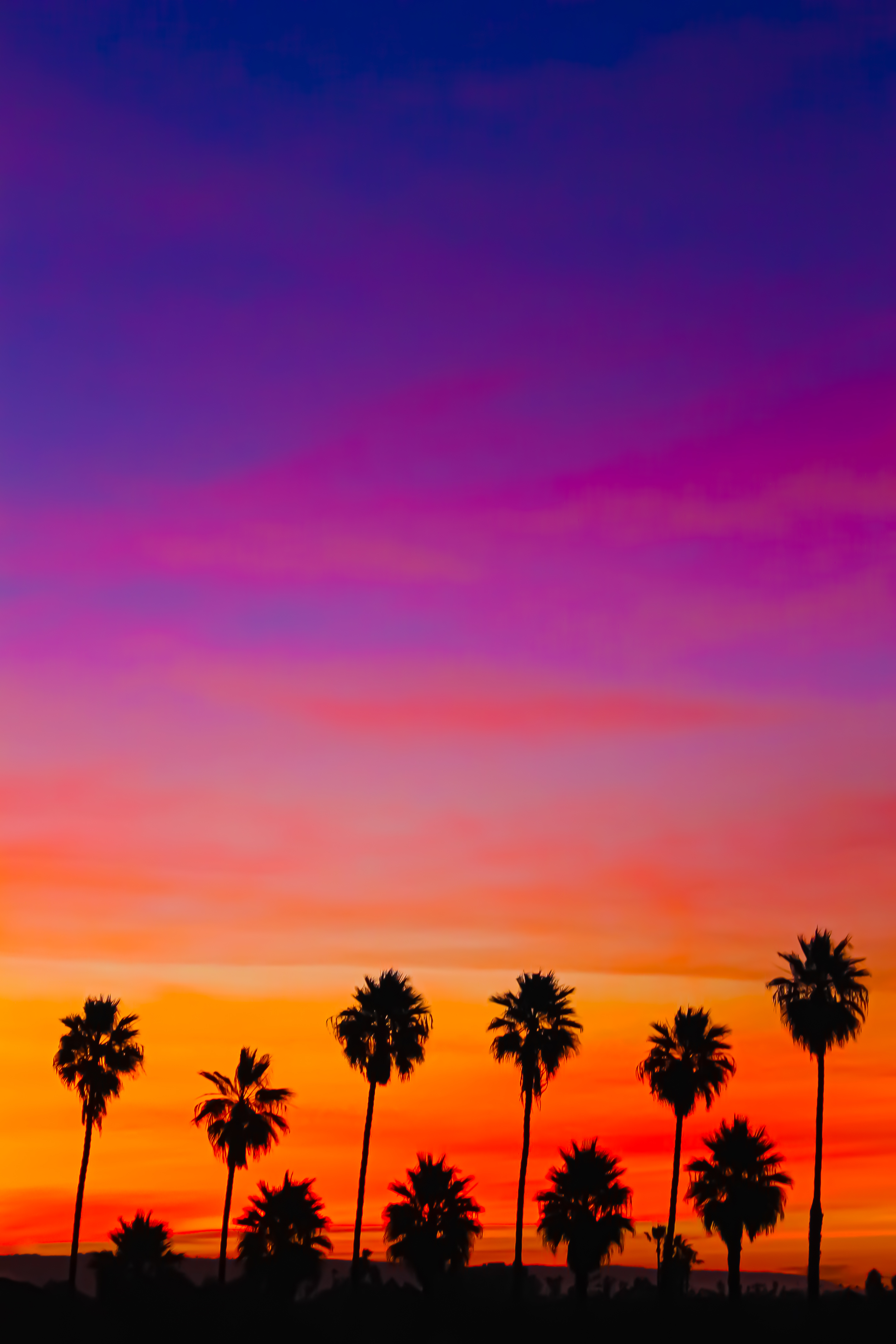 Handy-Wallpaper Natur, Sunset, Silhouette, Palms, Sky kostenlos herunterladen.