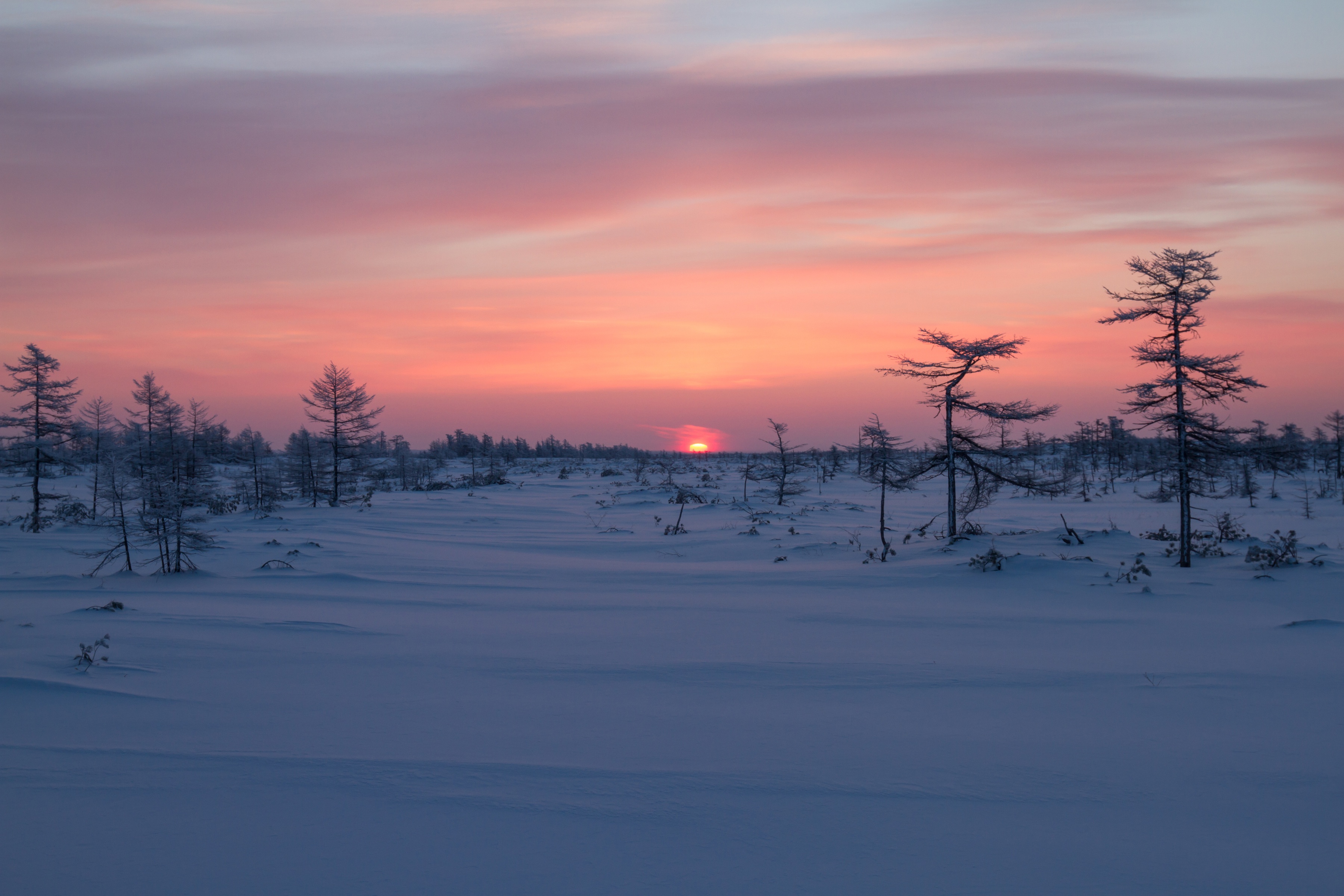 Descarga gratis la imagen Paisaje, Invierno, Naturaleza, Cielo, Nieve, Atardecer, Tierra/naturaleza en el escritorio de tu PC