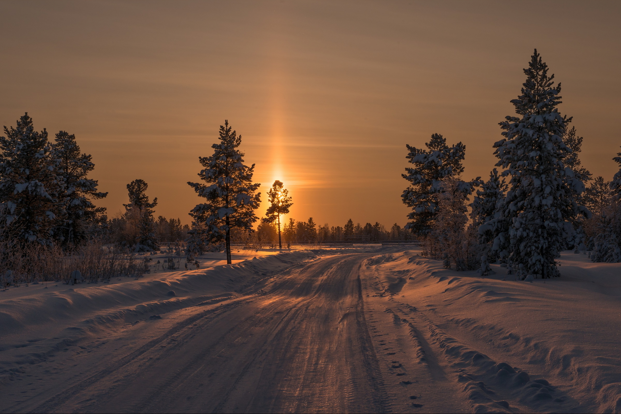 Baixe gratuitamente a imagem Inverno, Pôr Do Sol, Estrada, Abeto, Terra/natureza na área de trabalho do seu PC