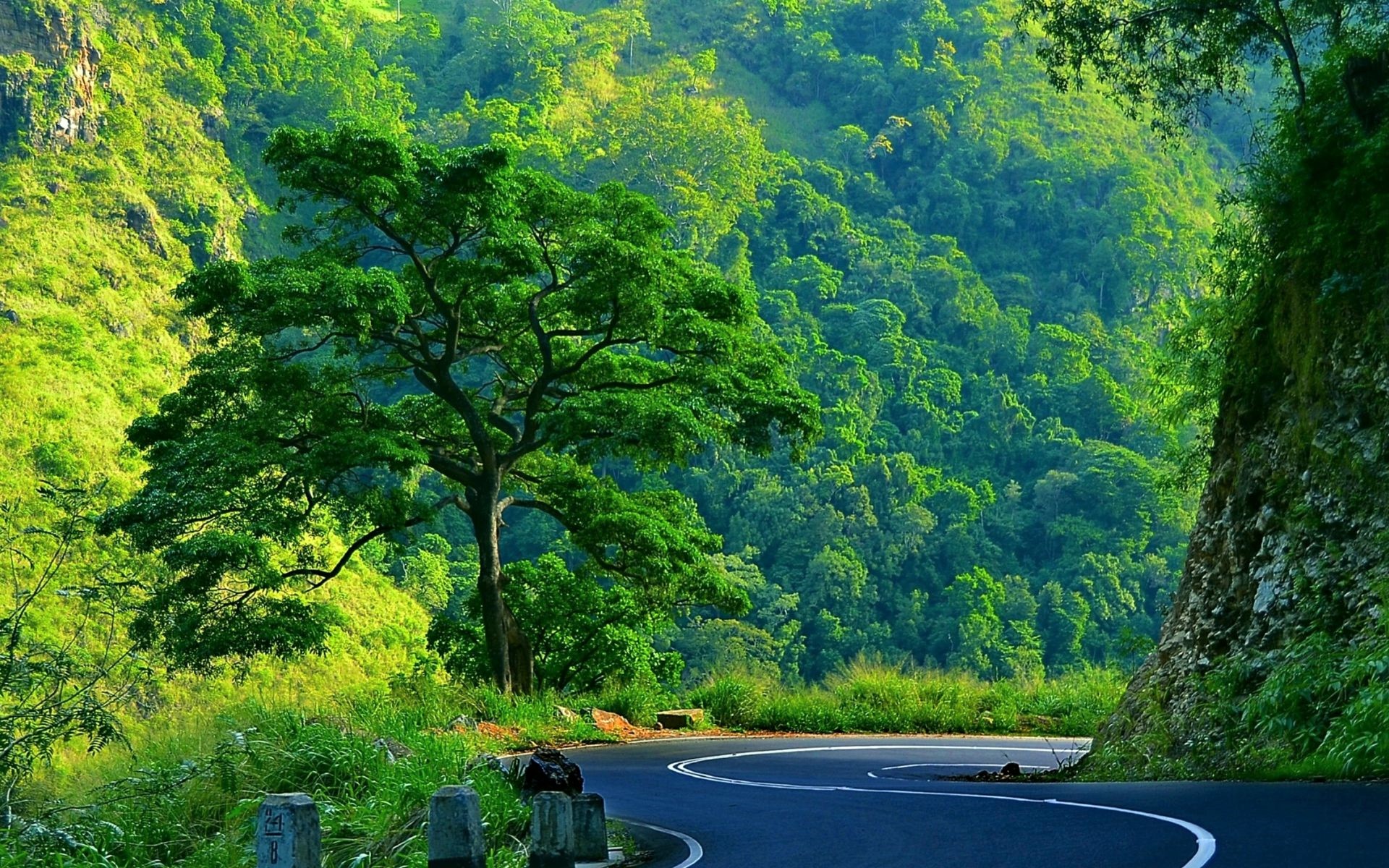 Download mobile wallpaper Mountain, Road, Tree, Man Made for free.