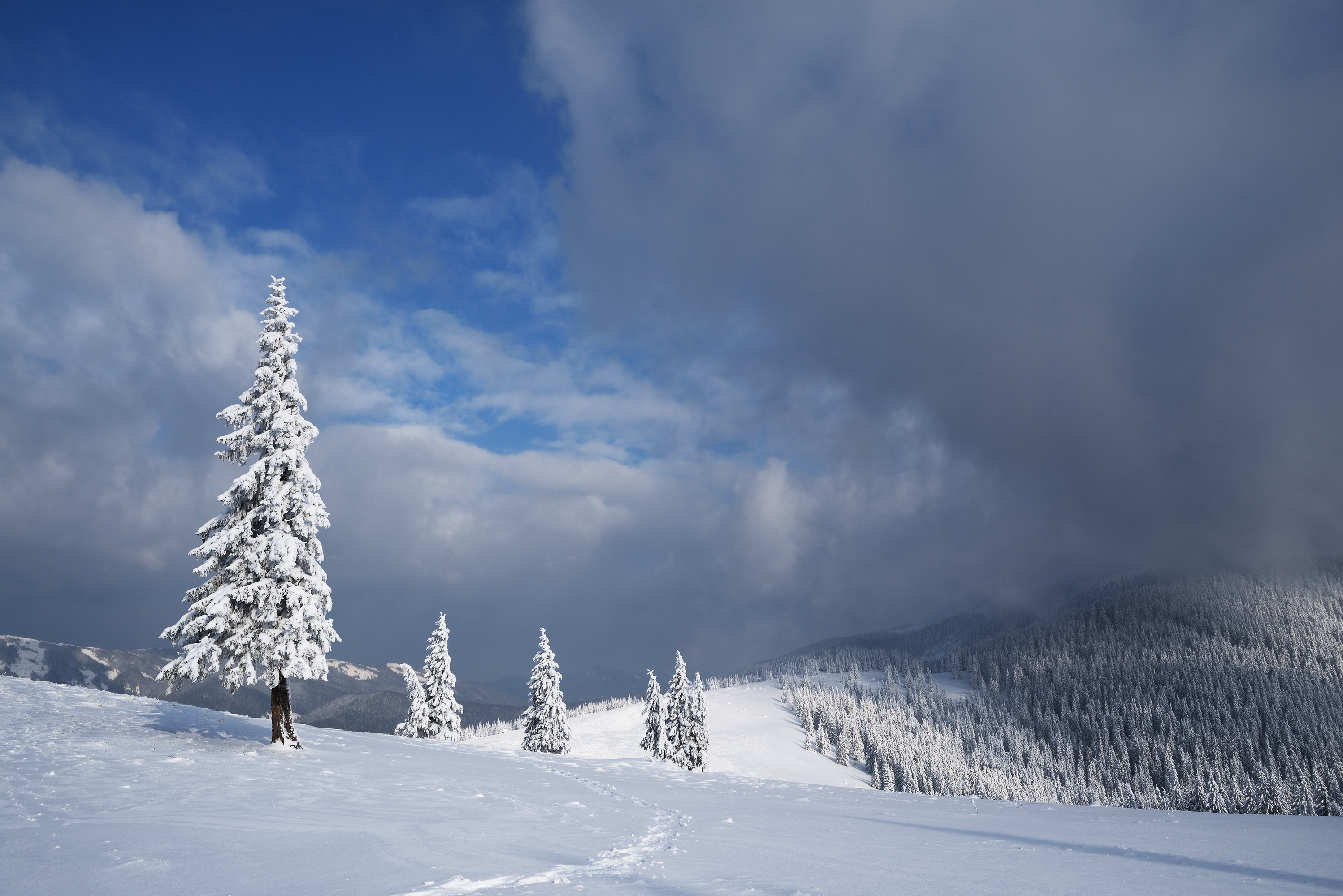 Download mobile wallpaper Winter, Snow, Forest, Tree, Earth, Cloud for free.