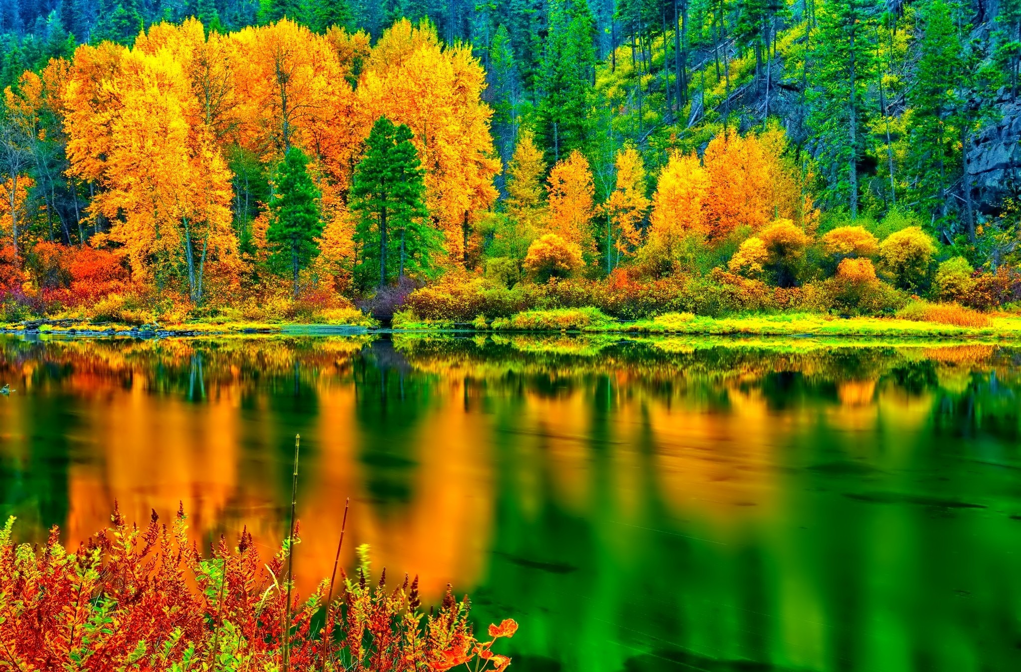 Скачать картинку Река, Осень, Лес, Зеленый, Жёлтый, Земля/природа в телефон бесплатно.