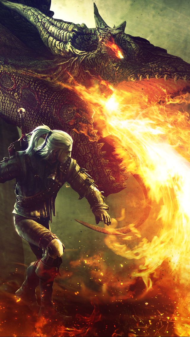 Download mobile wallpaper Dragon, Warrior, Video Game, The Witcher, The Witcher 2: Assassins Of Kings for free.
