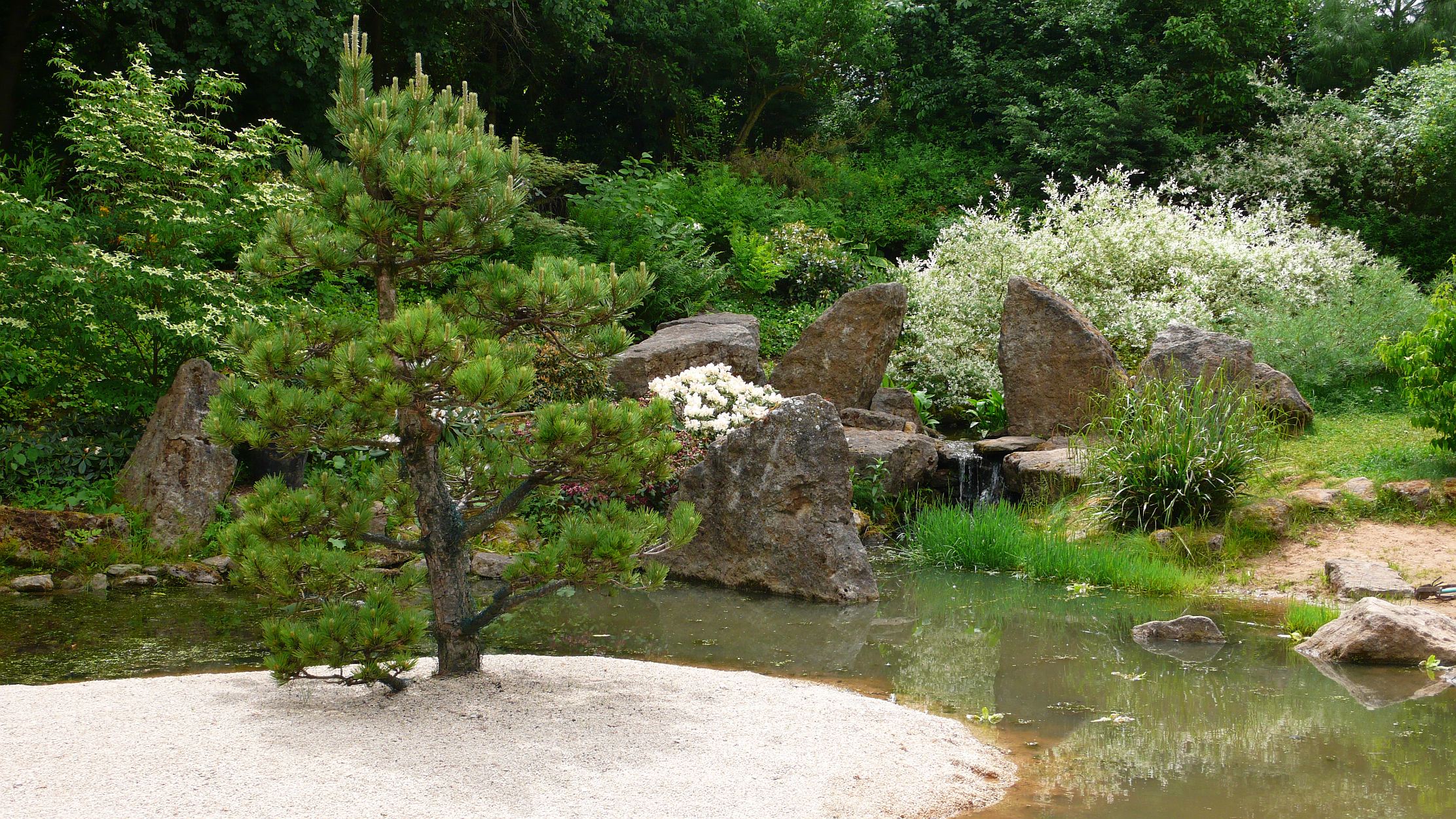 Laden Sie das Park, Fotografie-Bild kostenlos auf Ihren PC-Desktop herunter