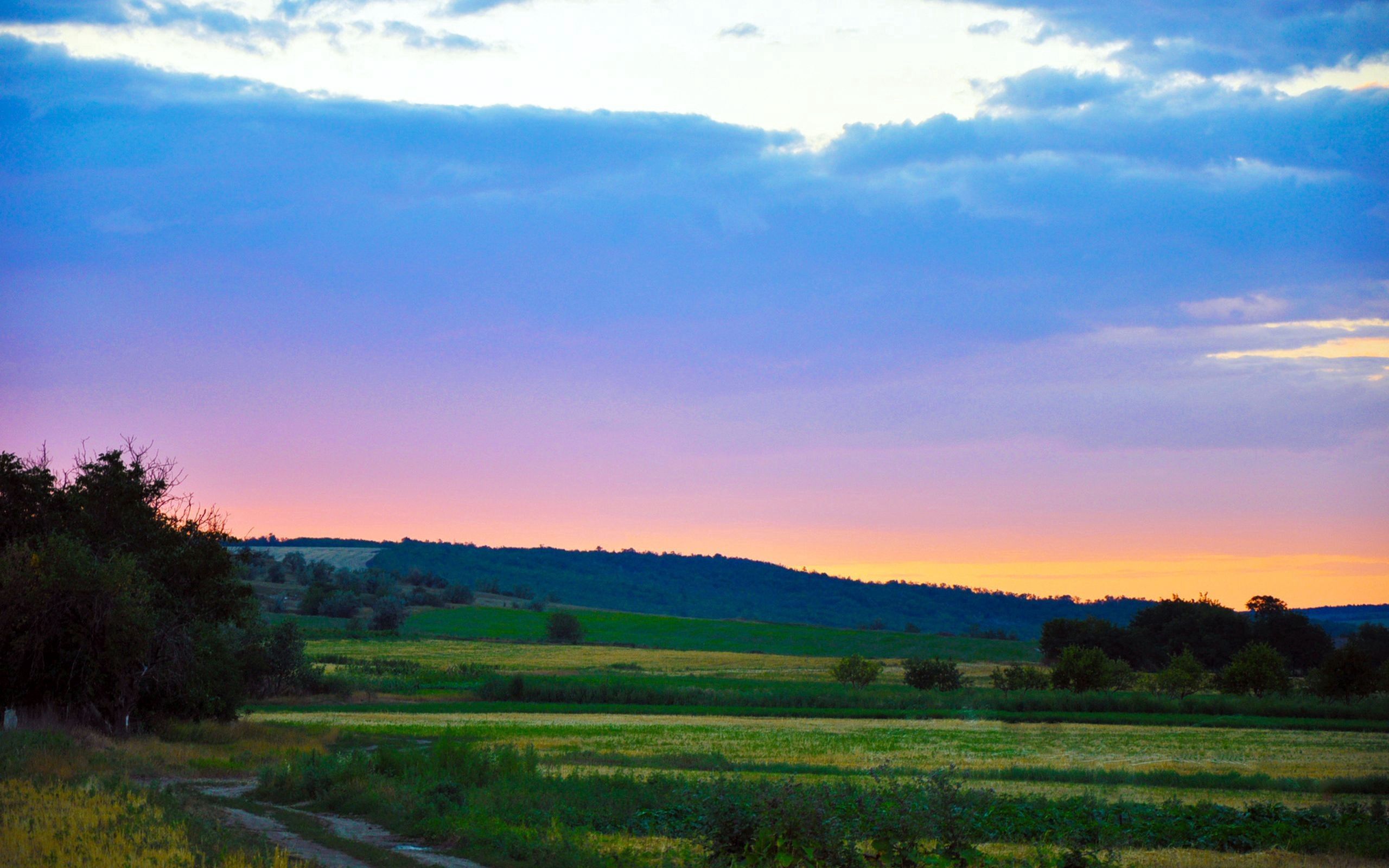 Laden Sie das Sunset, Grass, Natur, Sky-Bild kostenlos auf Ihren PC-Desktop herunter