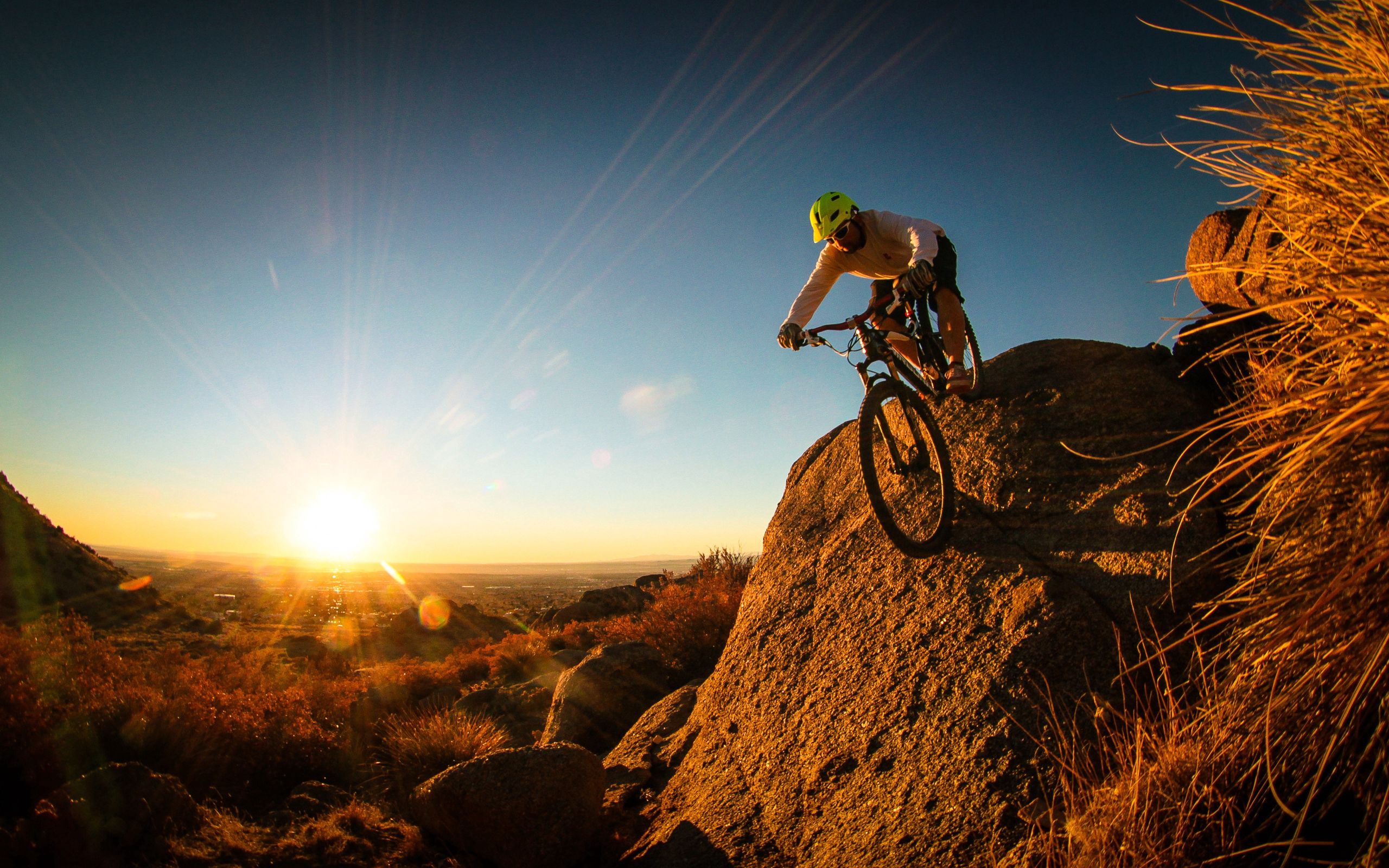 77770 baixar imagens esportes, homem, ciclista, bicicleta de montanha, mountain bike - papéis de parede e protetores de tela gratuitamente