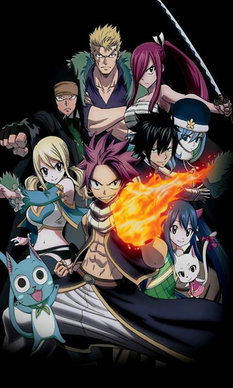 Download mobile wallpaper Anime, Fairy Tail, Lucy Heartfilia, Natsu Dragneel, Erza Scarlet, Gray Fullbuster, Happy (Fairy Tail), Juvia Lockser, Gajeel Redfox, Charles (Fairy Tail), Wendy Marvell, Laxus Dreyar for free.
